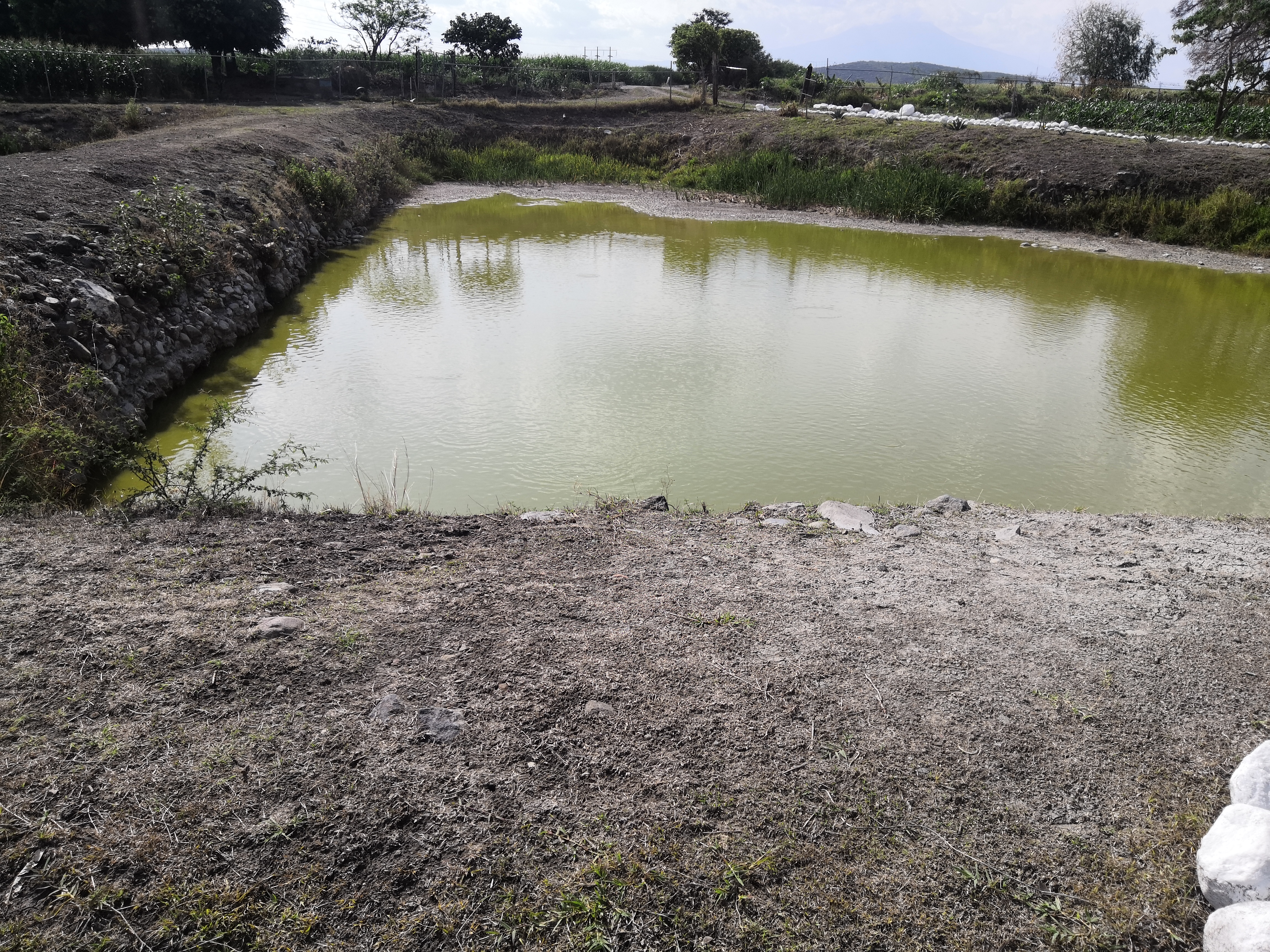 Langostas Real Costa De Marina image 9
