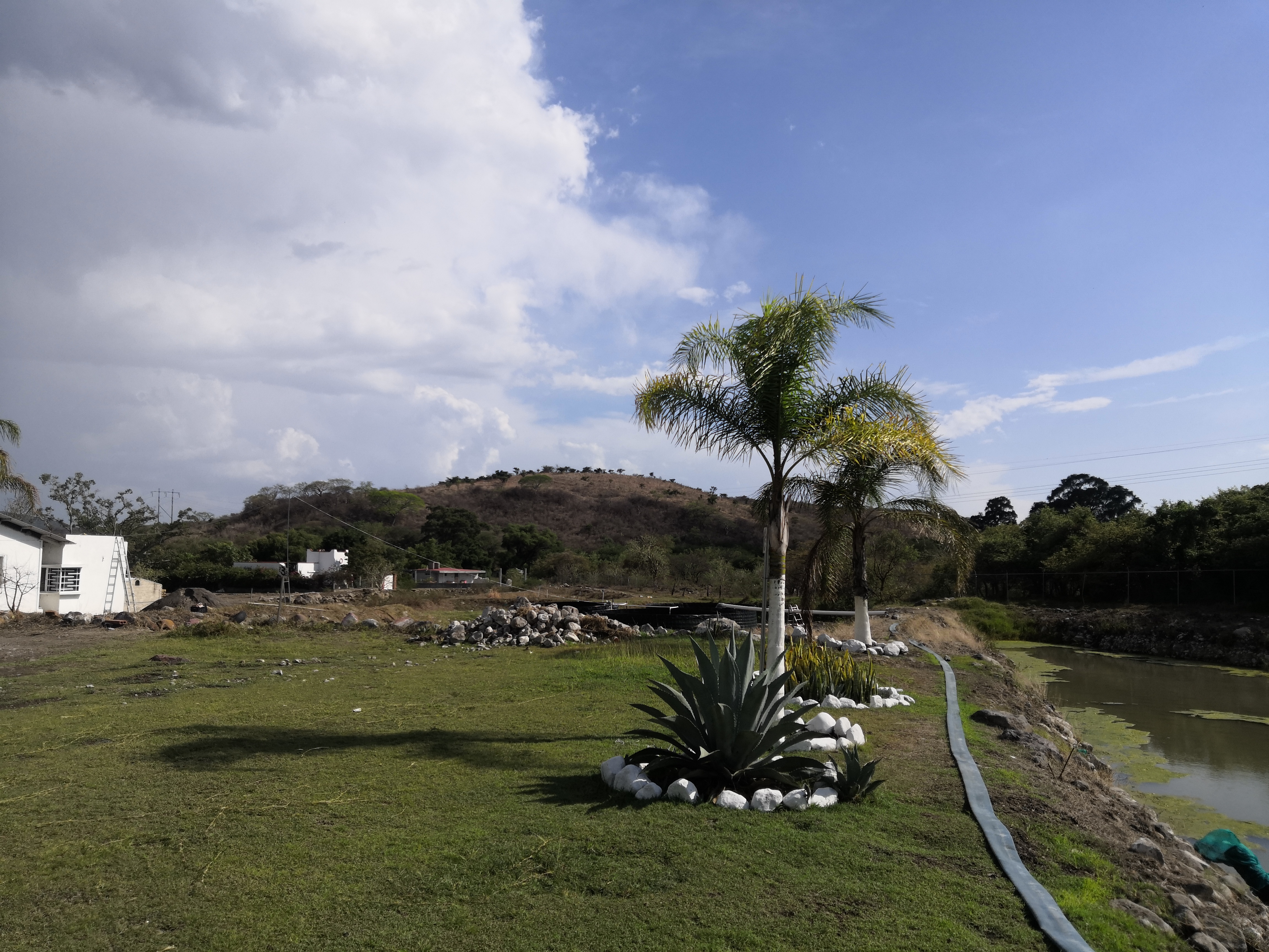 Langostas Real Costa De Marina image 10