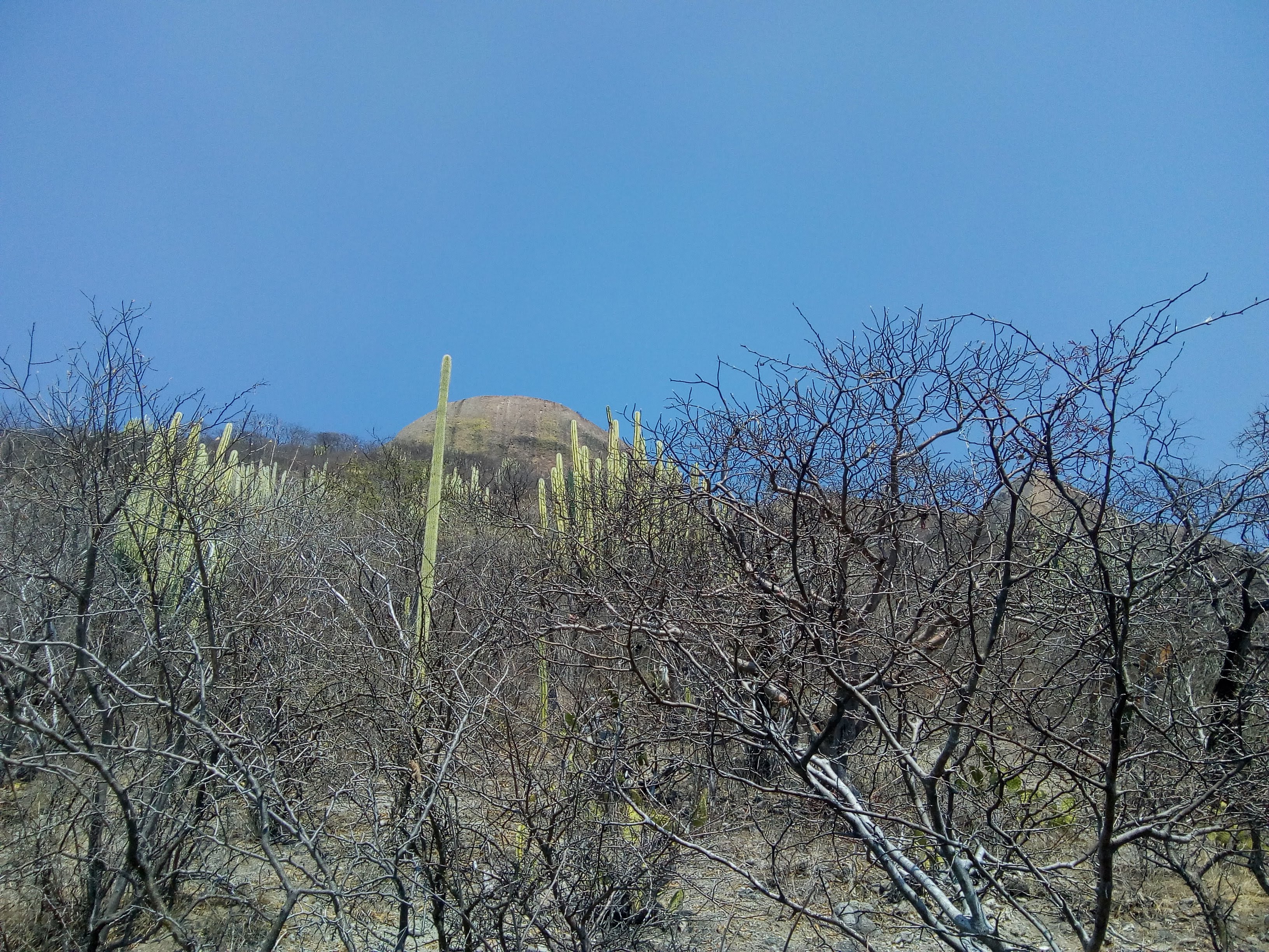 Restaurante Xochilt image 4