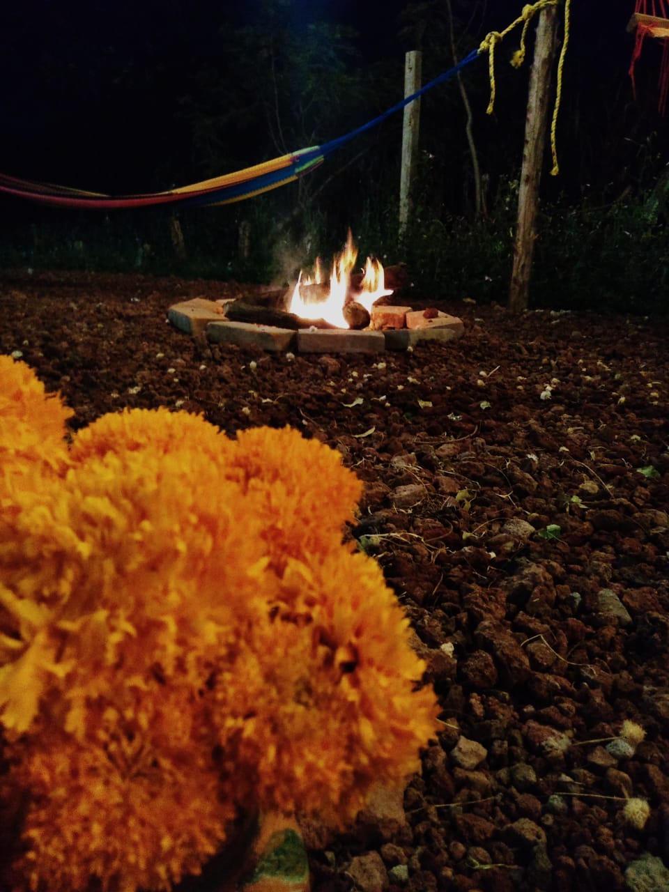 RESTAURANTE-BAR MEZQUITE image 6