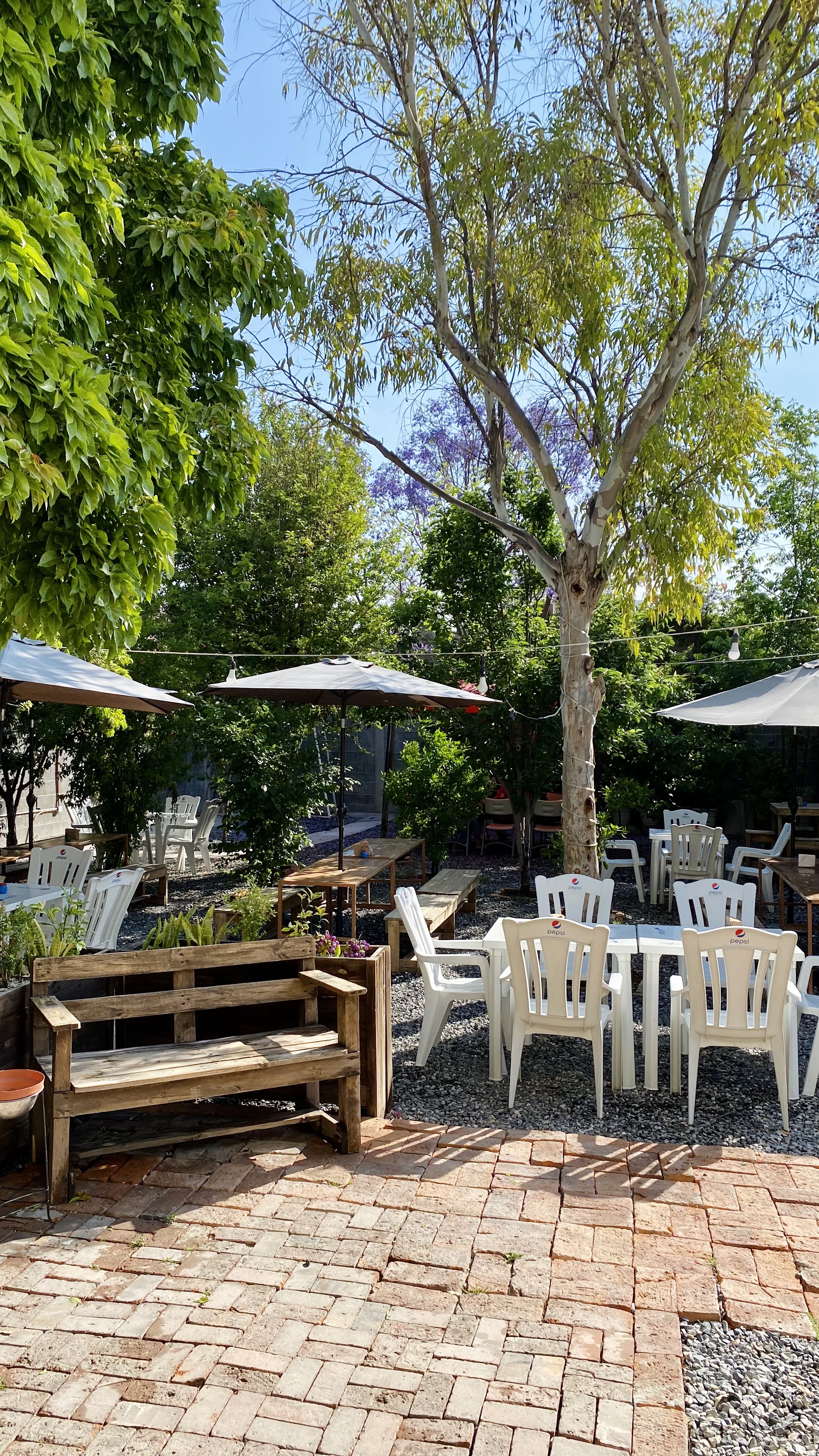 LA BOTANA - Cervecería Bar image 1