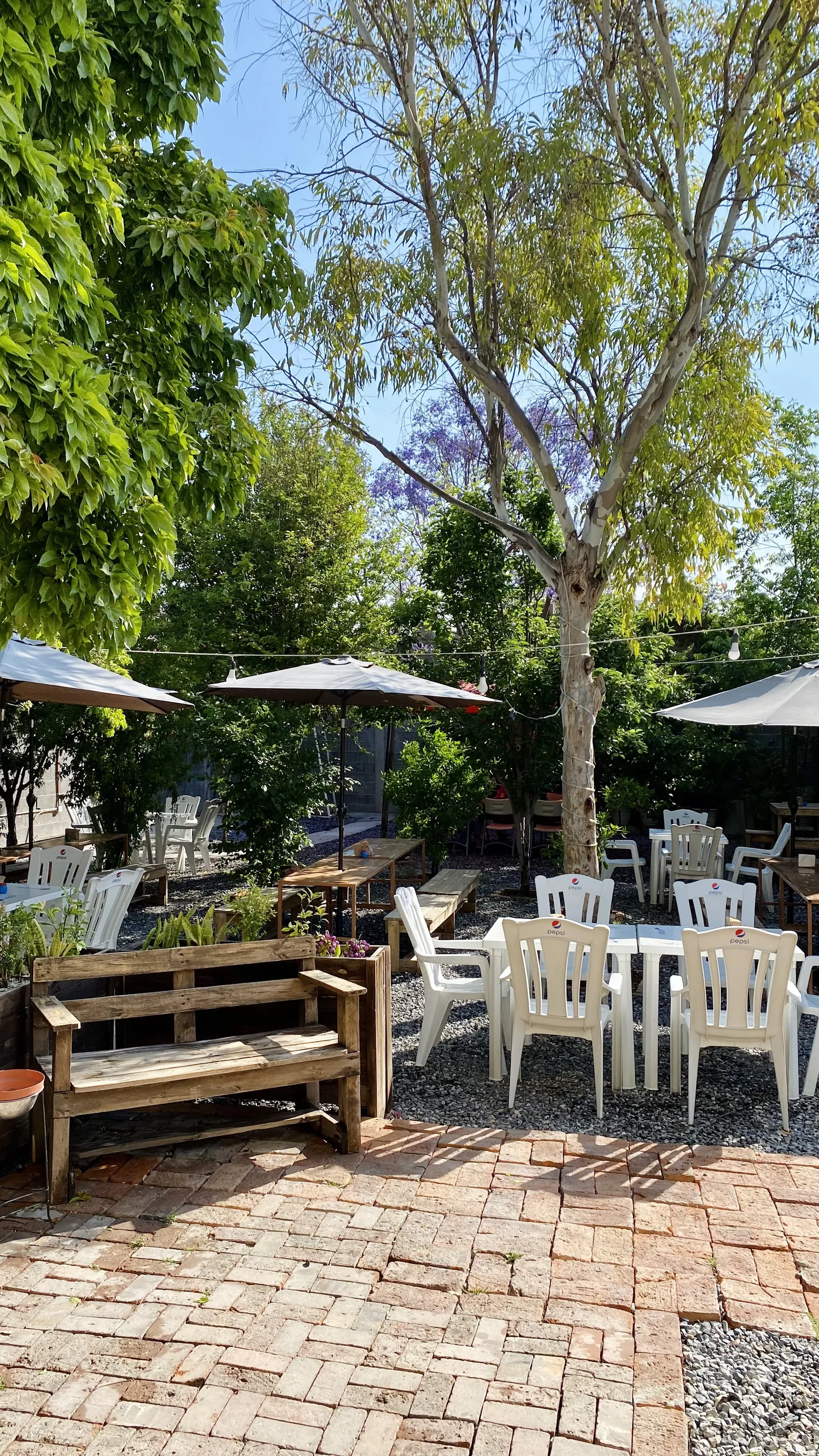 LA BOTANA - Cervecería Bar image 1