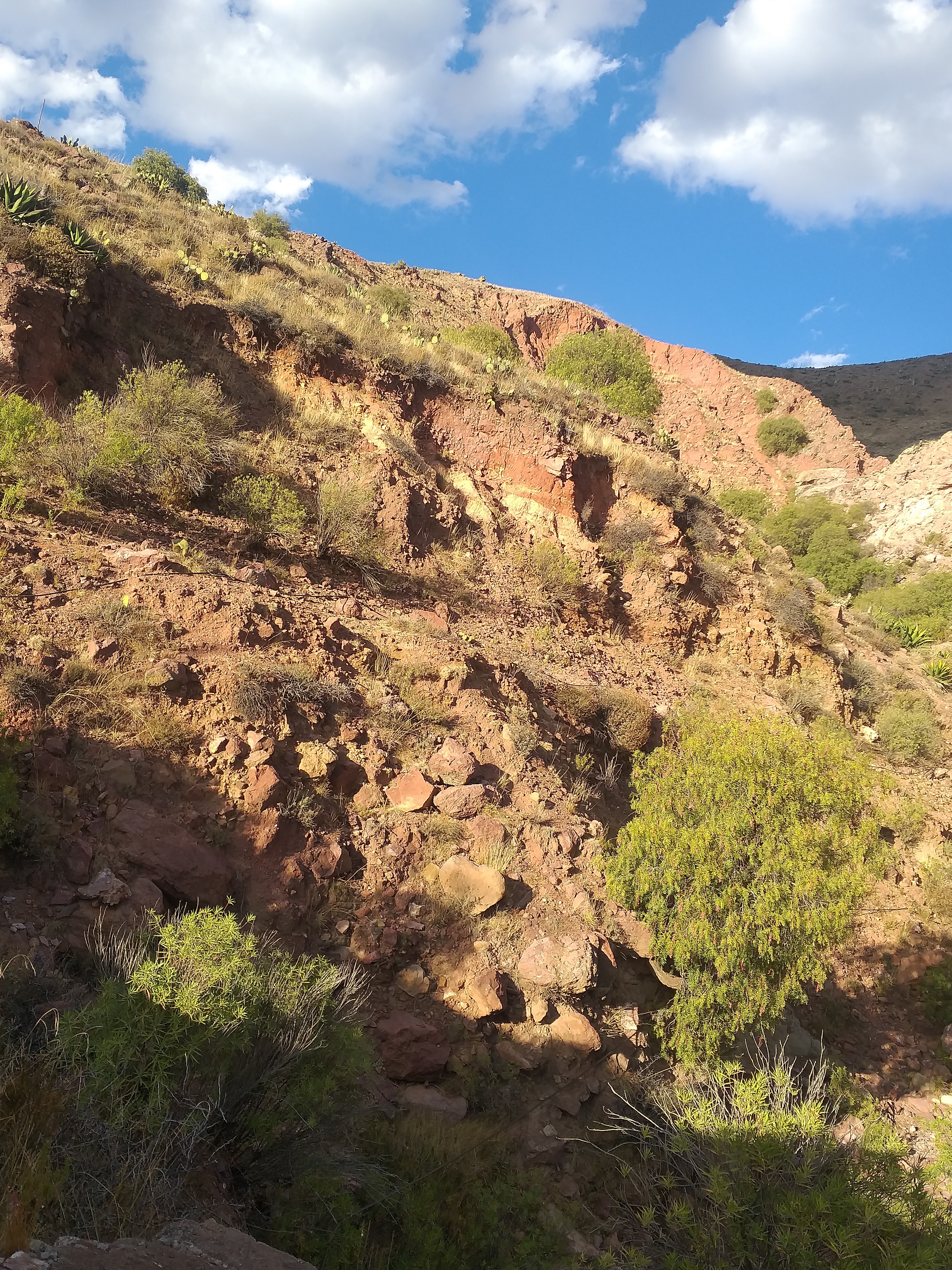 Loncheria Guadalajara image 4