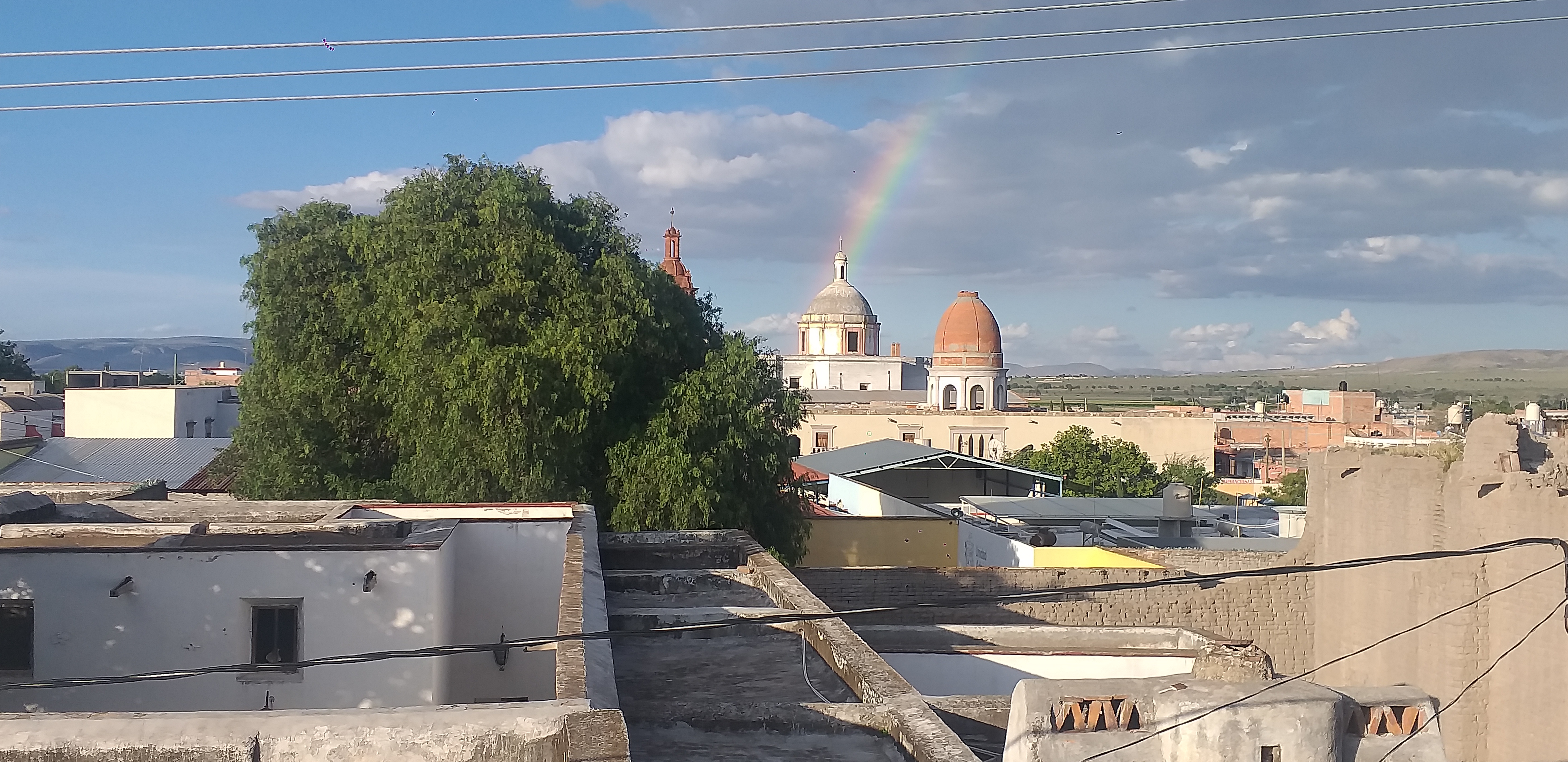 Loncheria Guadalajara image 8