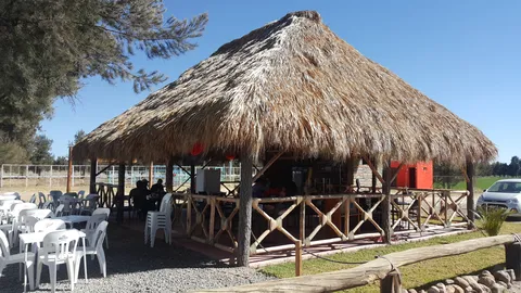 Restaurante 7 leguas image 3