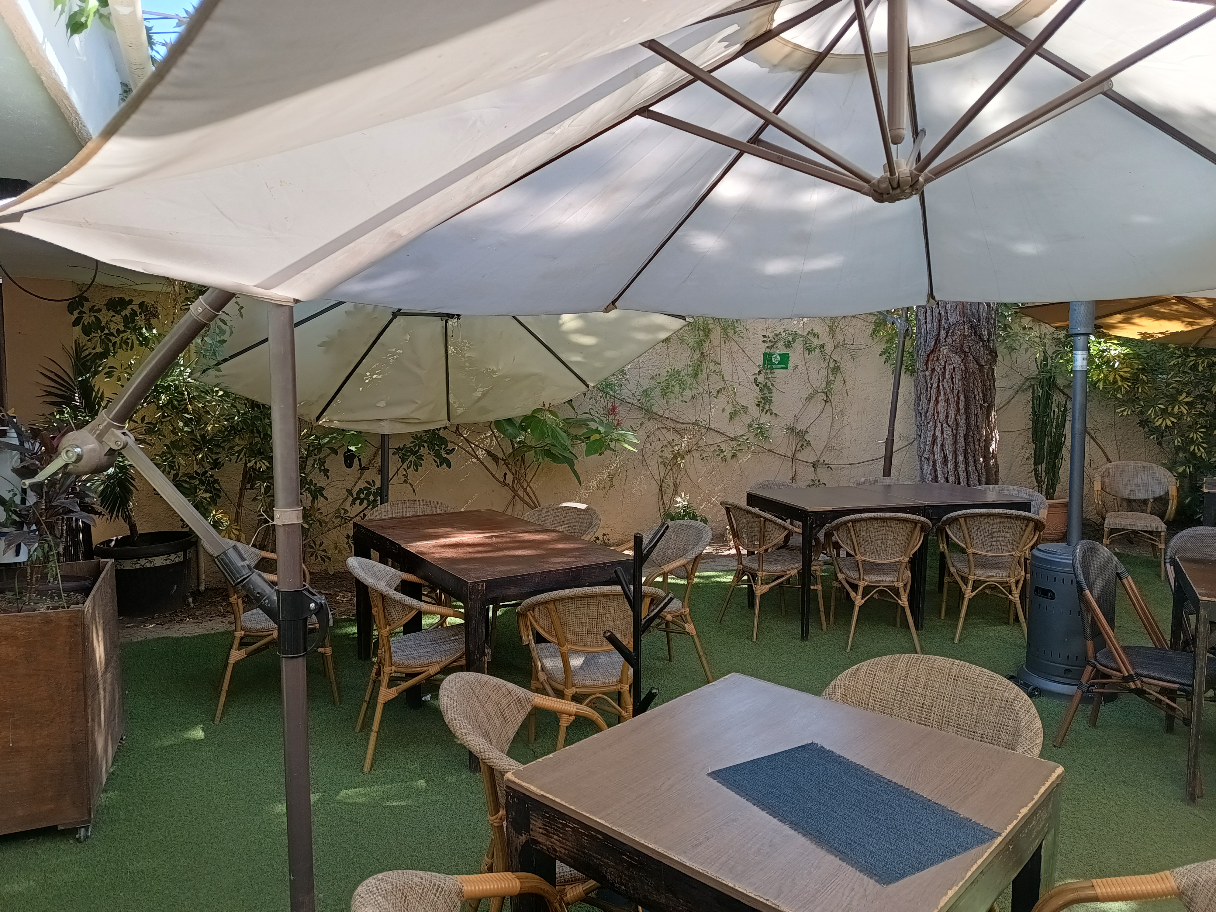 Cuatro Almas image 4