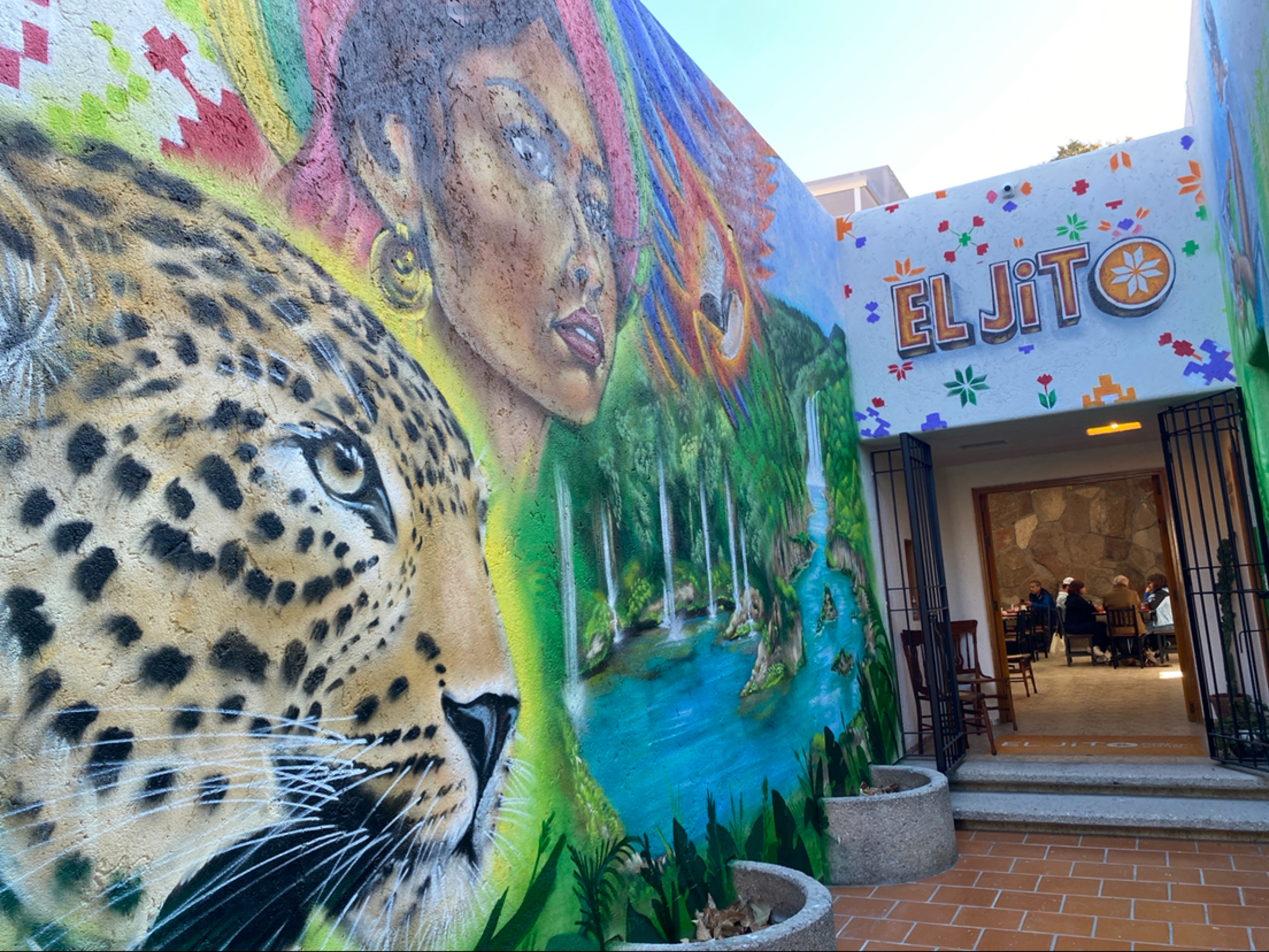 El Jito image 7