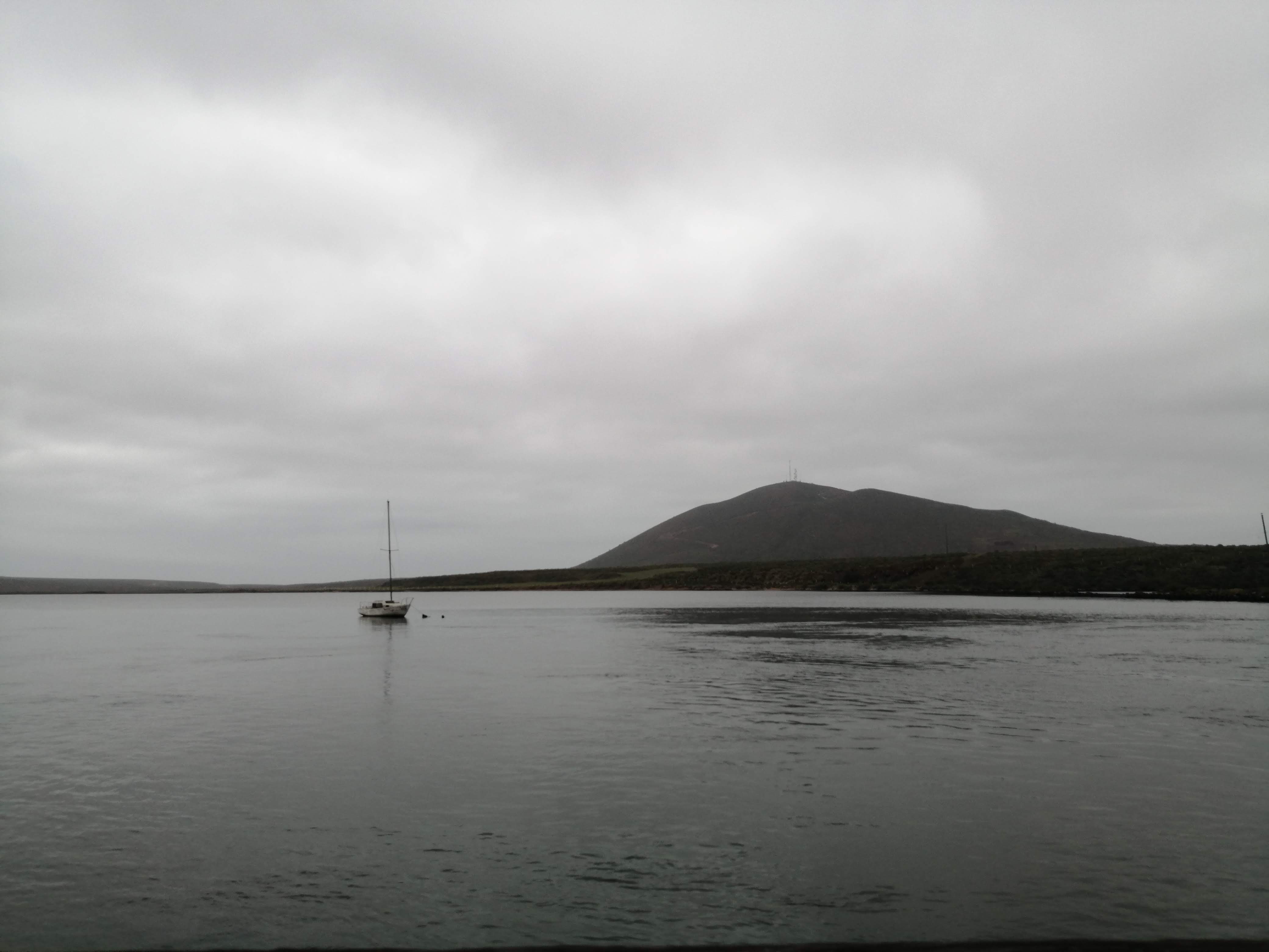 Eucalipto Restaurant, Bar and Grill image 9