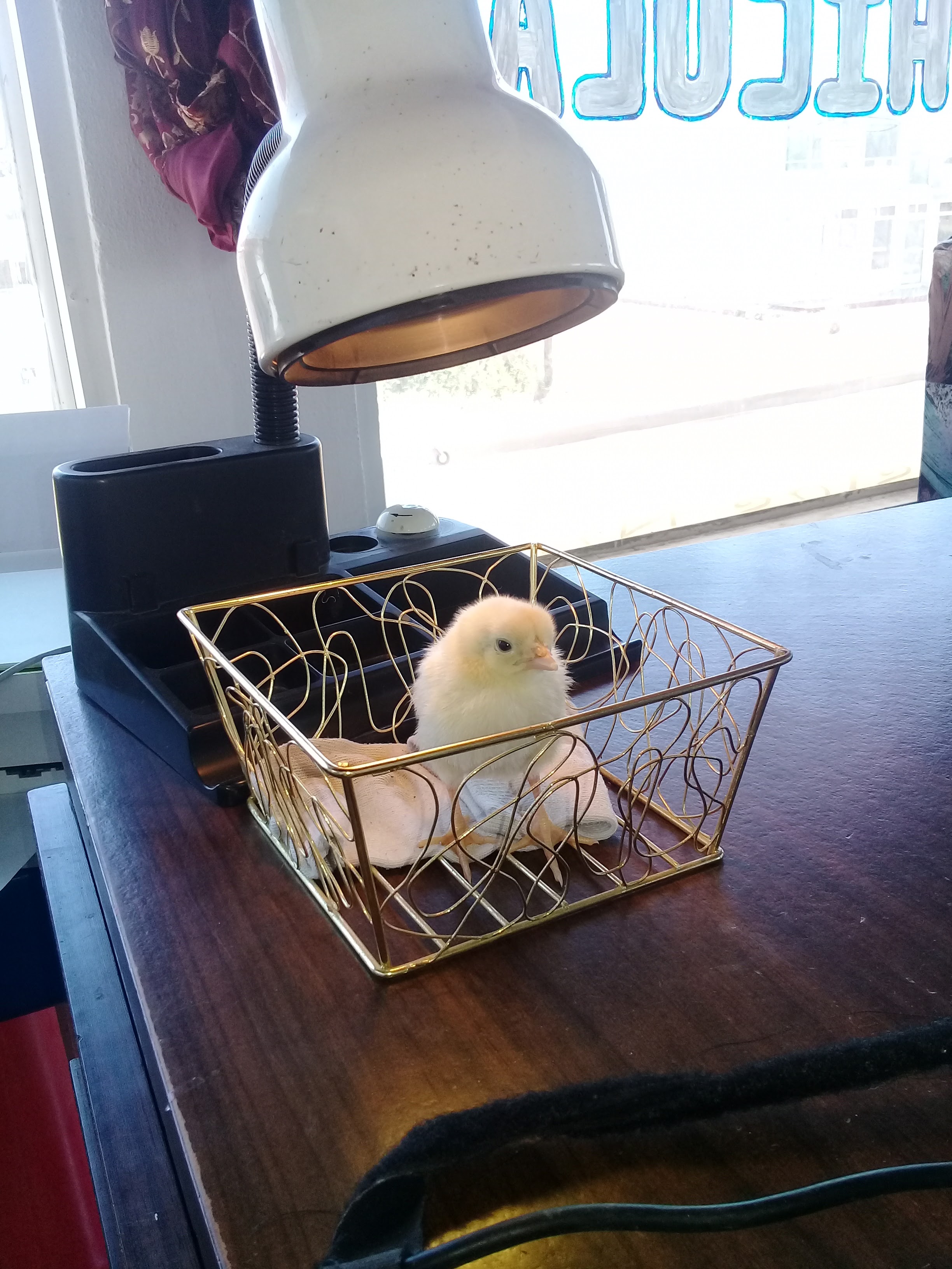 Barriga Hinojoza Efren image 1