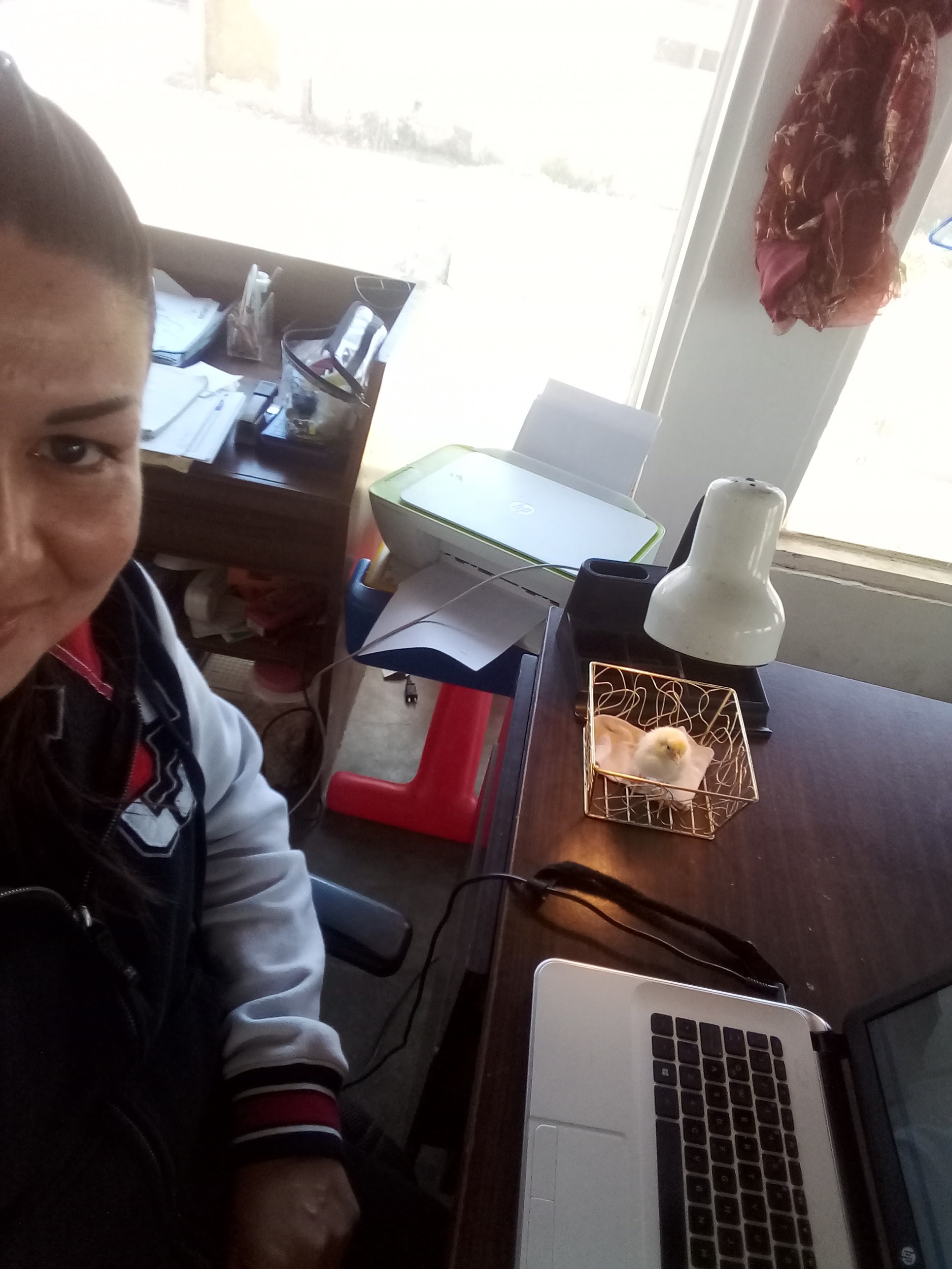 Barriga Hinojoza Efren image 2