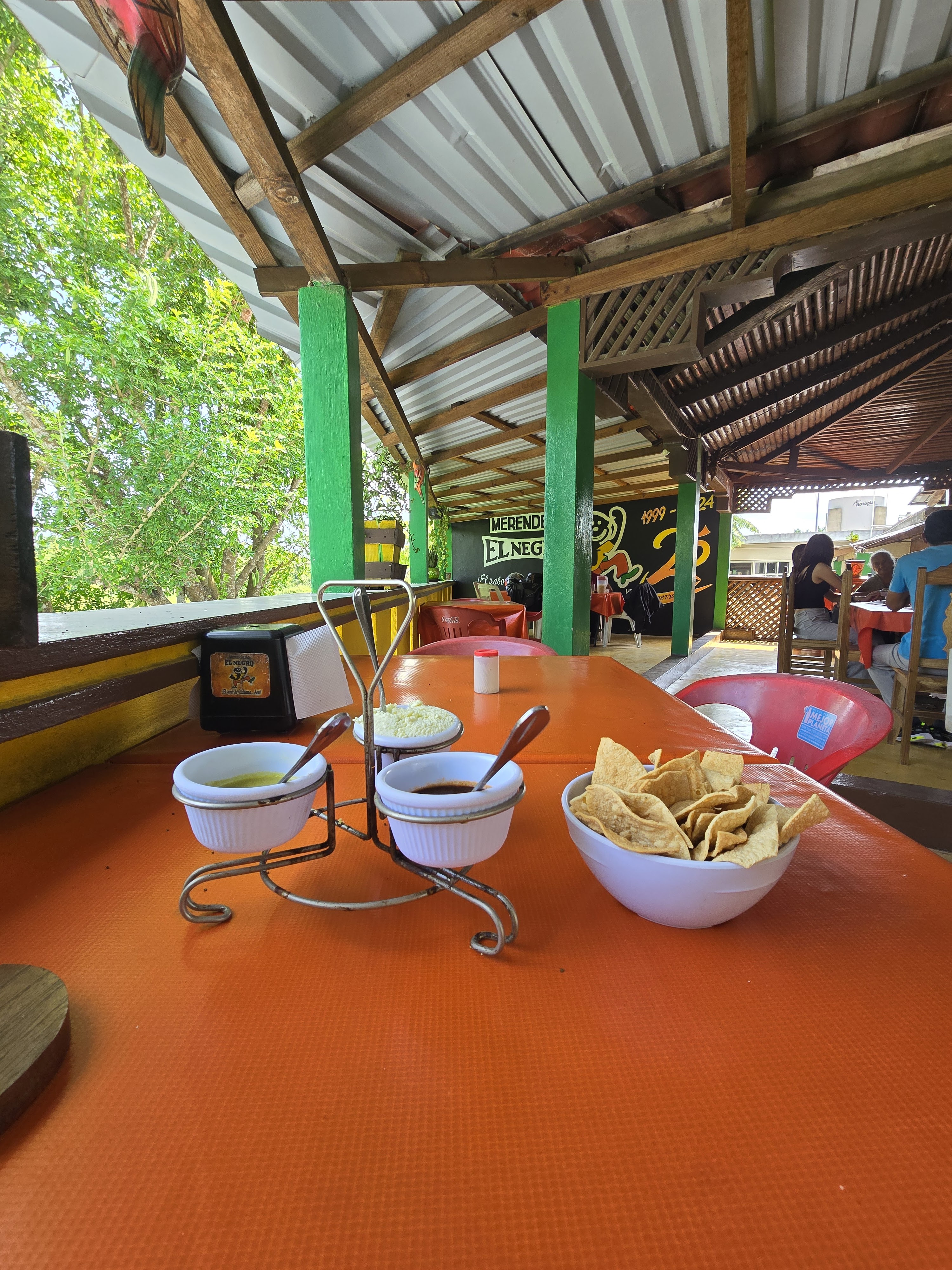 El Negro de Ozuluama image 9