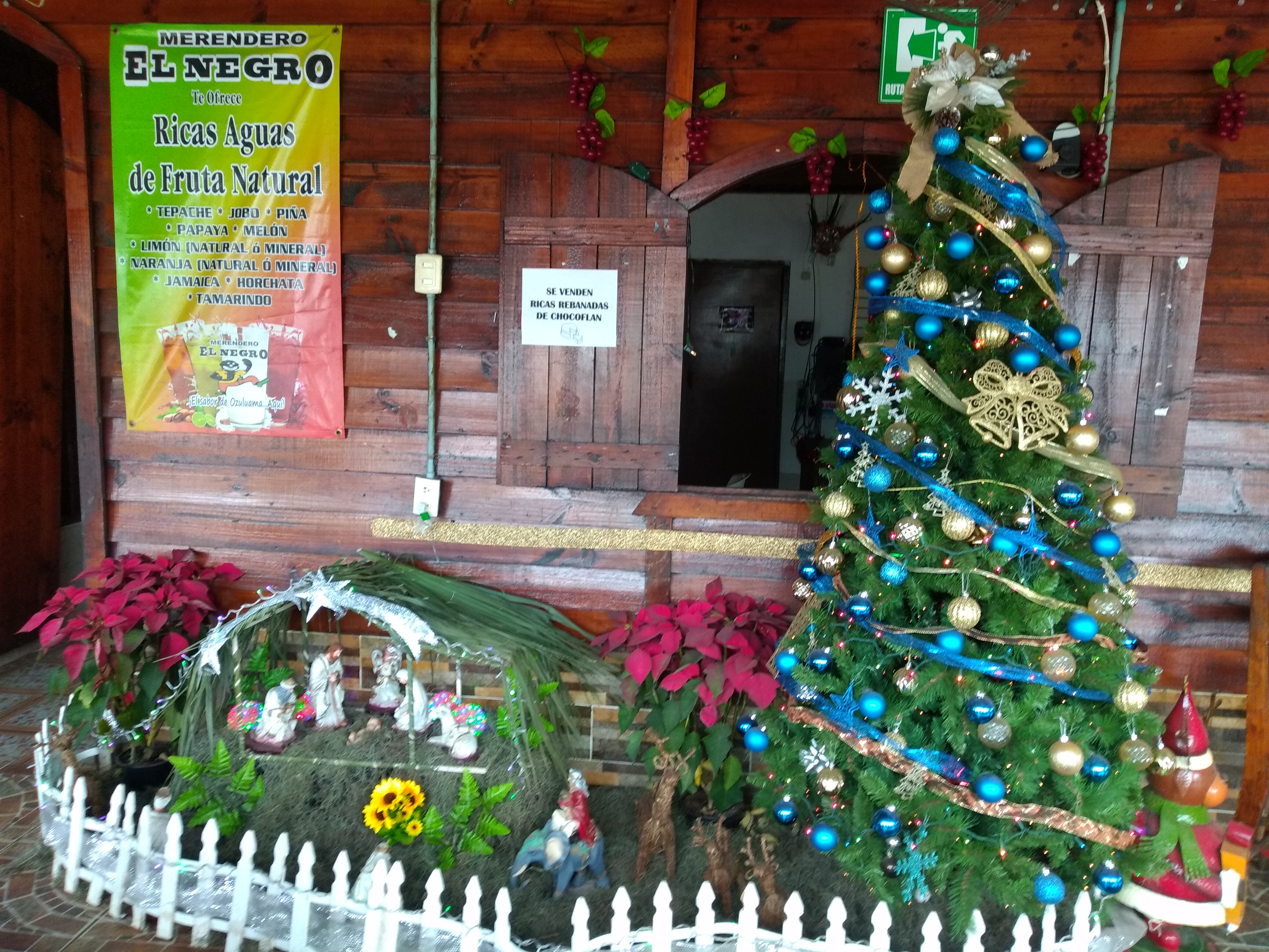 El Negro de Ozuluama image 10