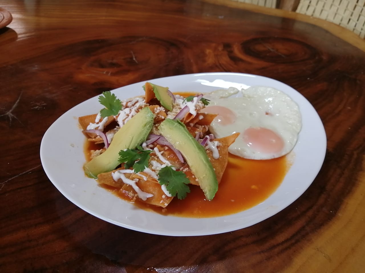 Restaurant & Bar Palma Real image 7