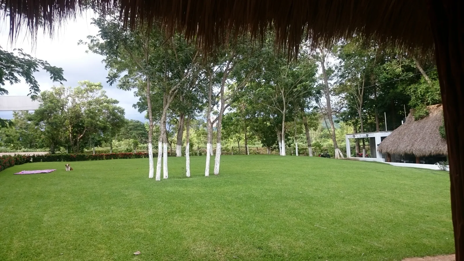 La K-baña image 8
