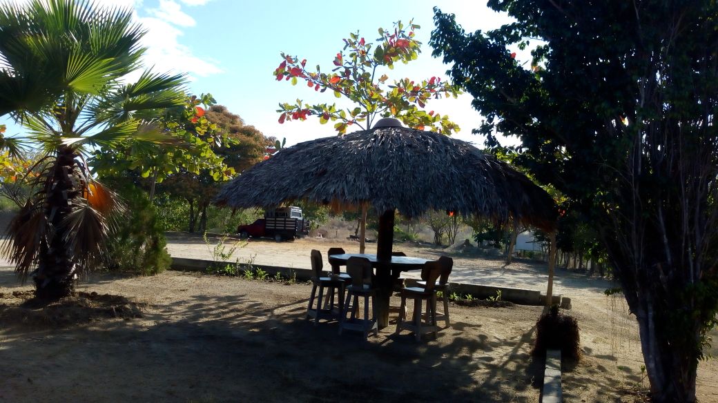 Marisqueria "EL PULPO" image 1