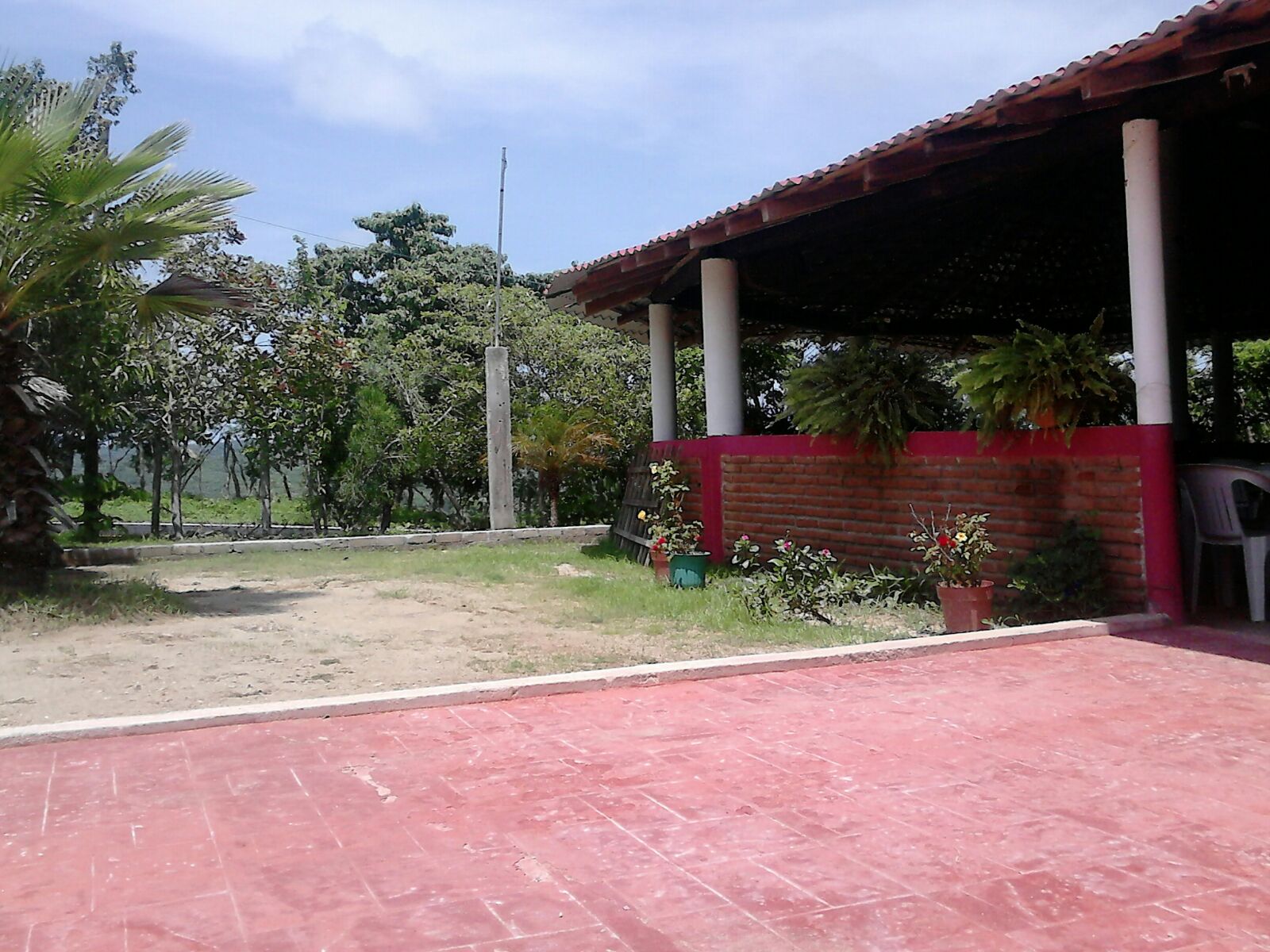 Marisqueria "EL PULPO" image 7