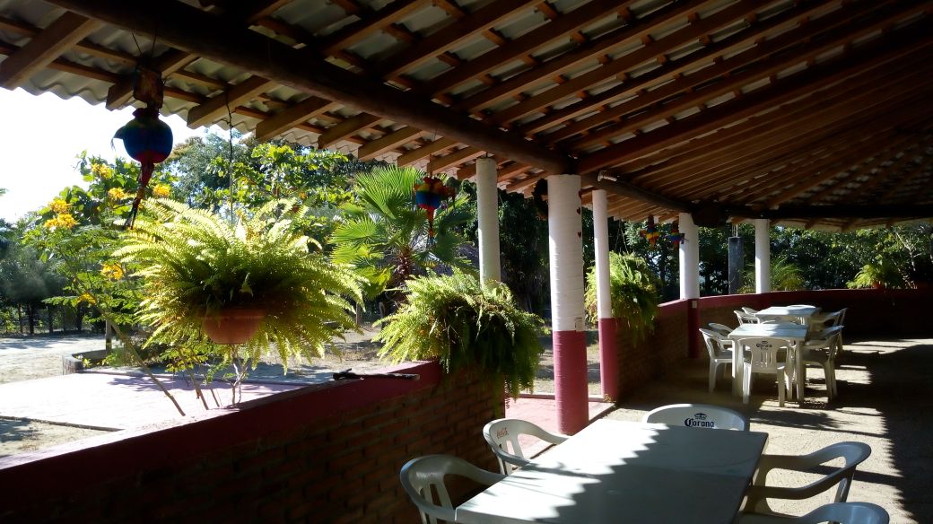 Marisqueria "EL PULPO" image 8