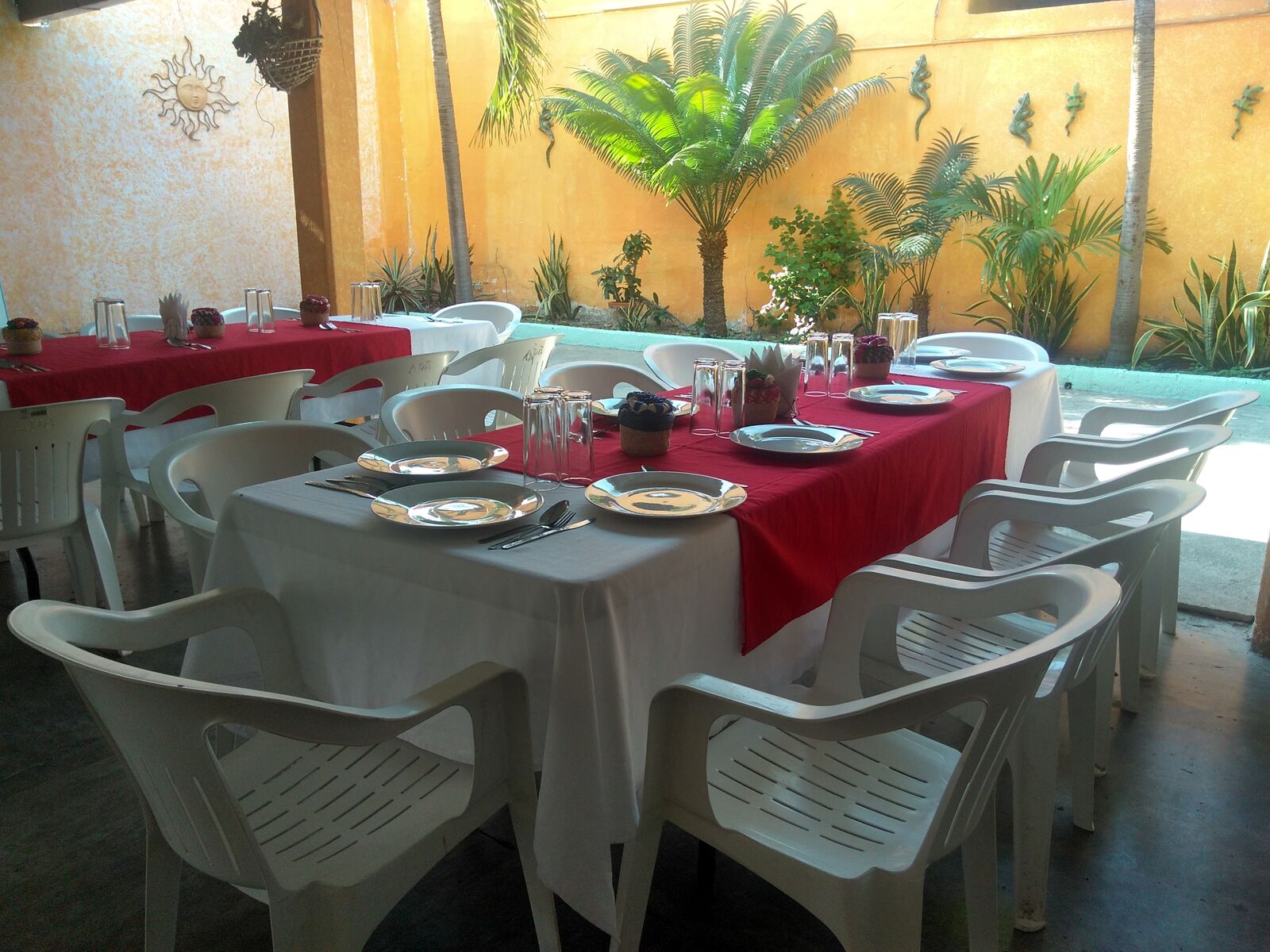 La Palapa image 5