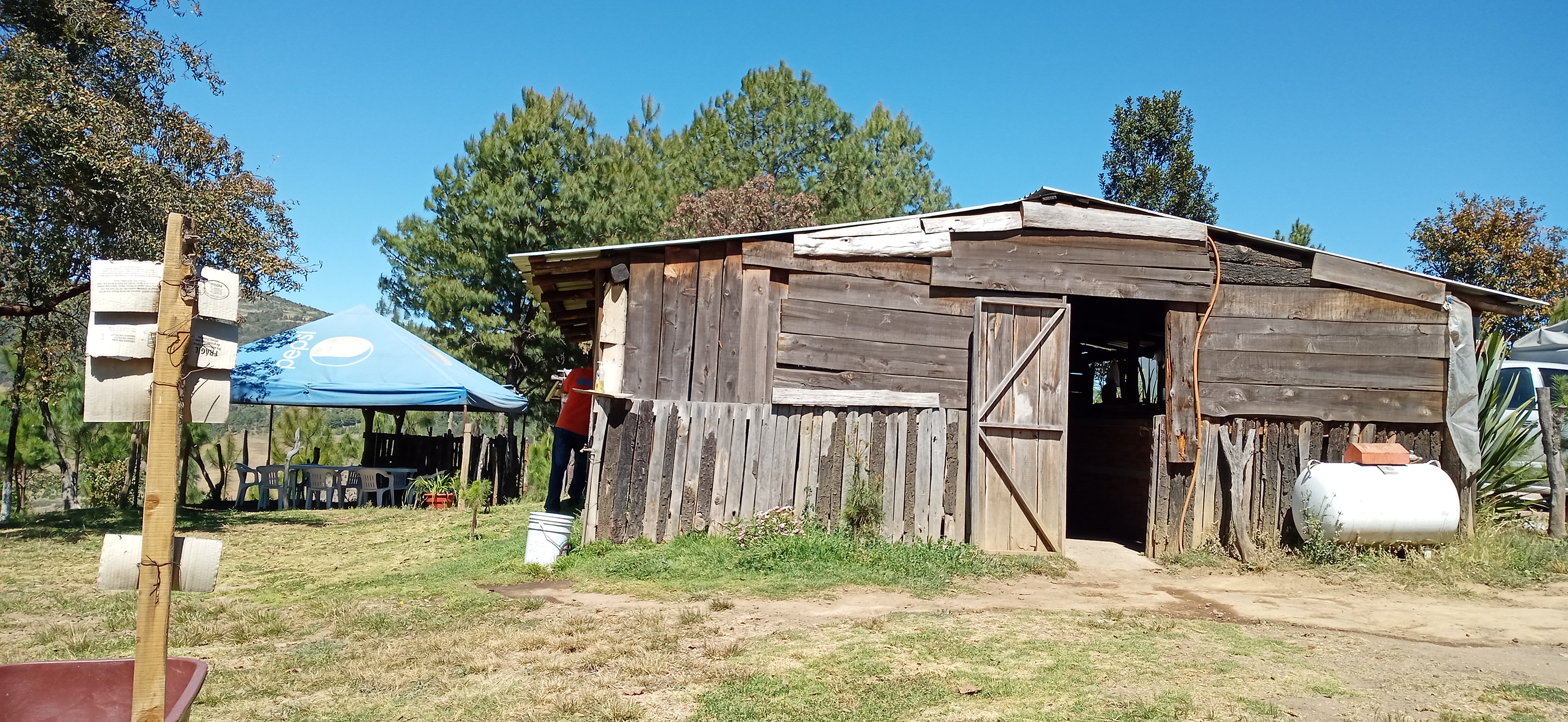 Restaurante La Curva image 3