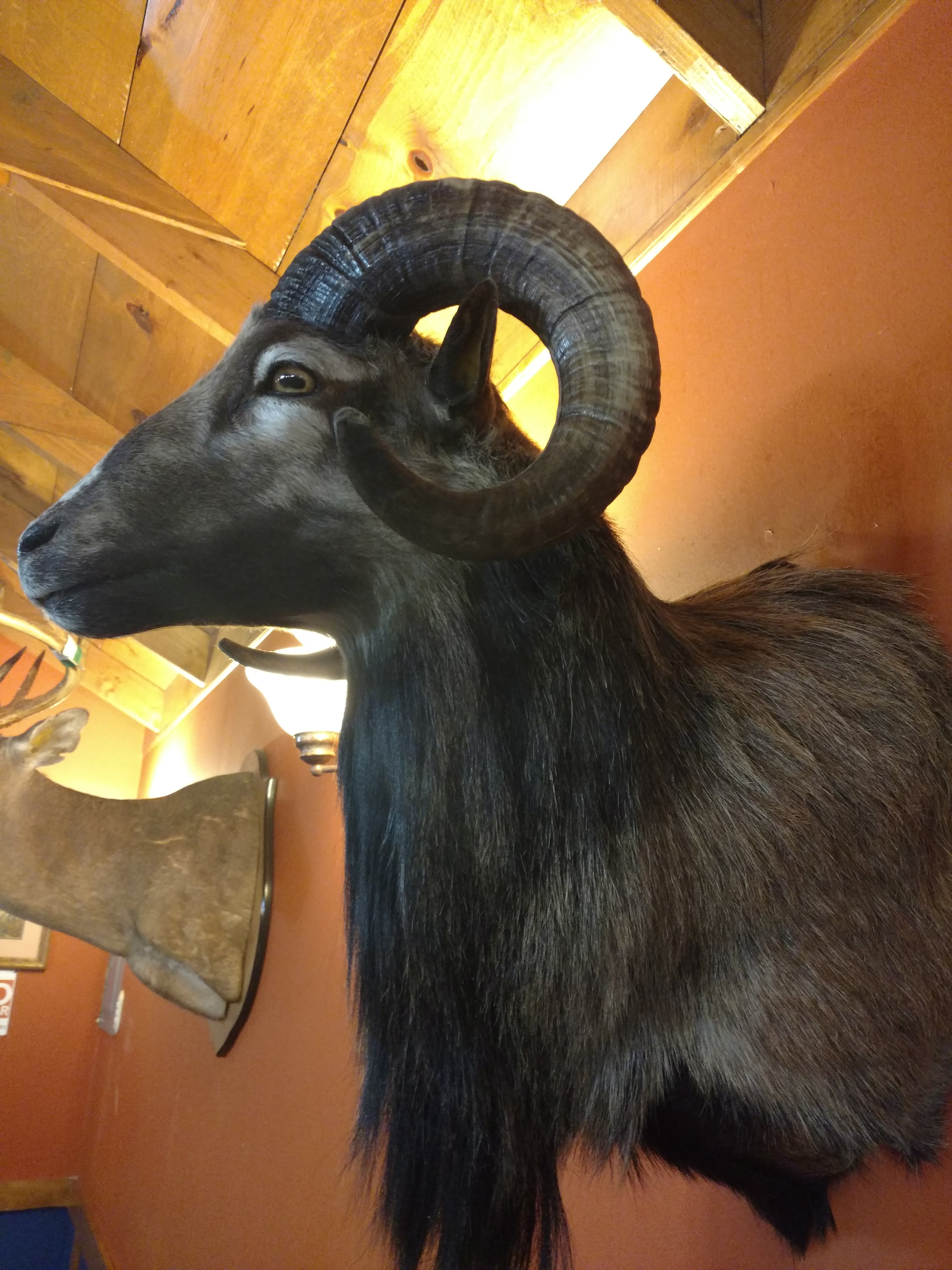 Granero Grill Parrilla image 5