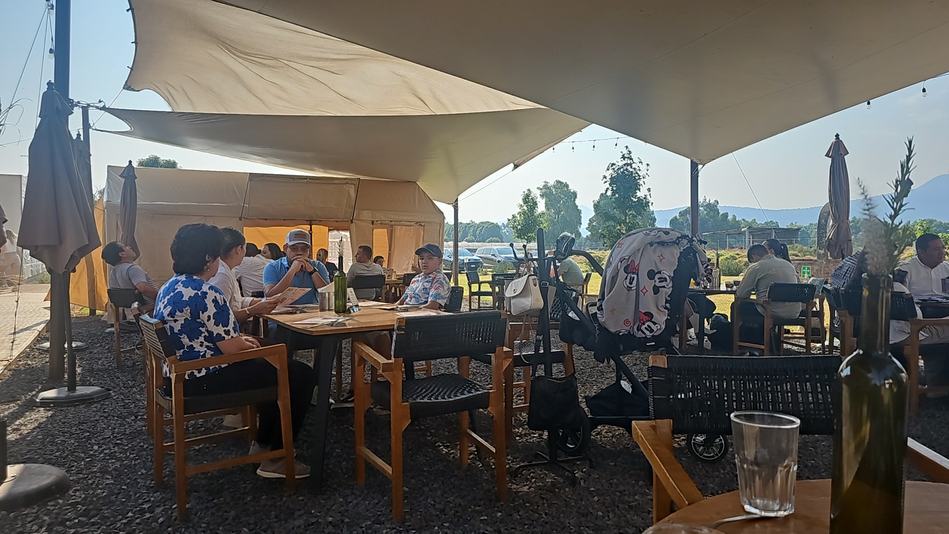 Porcinos Asador de Campo image 5