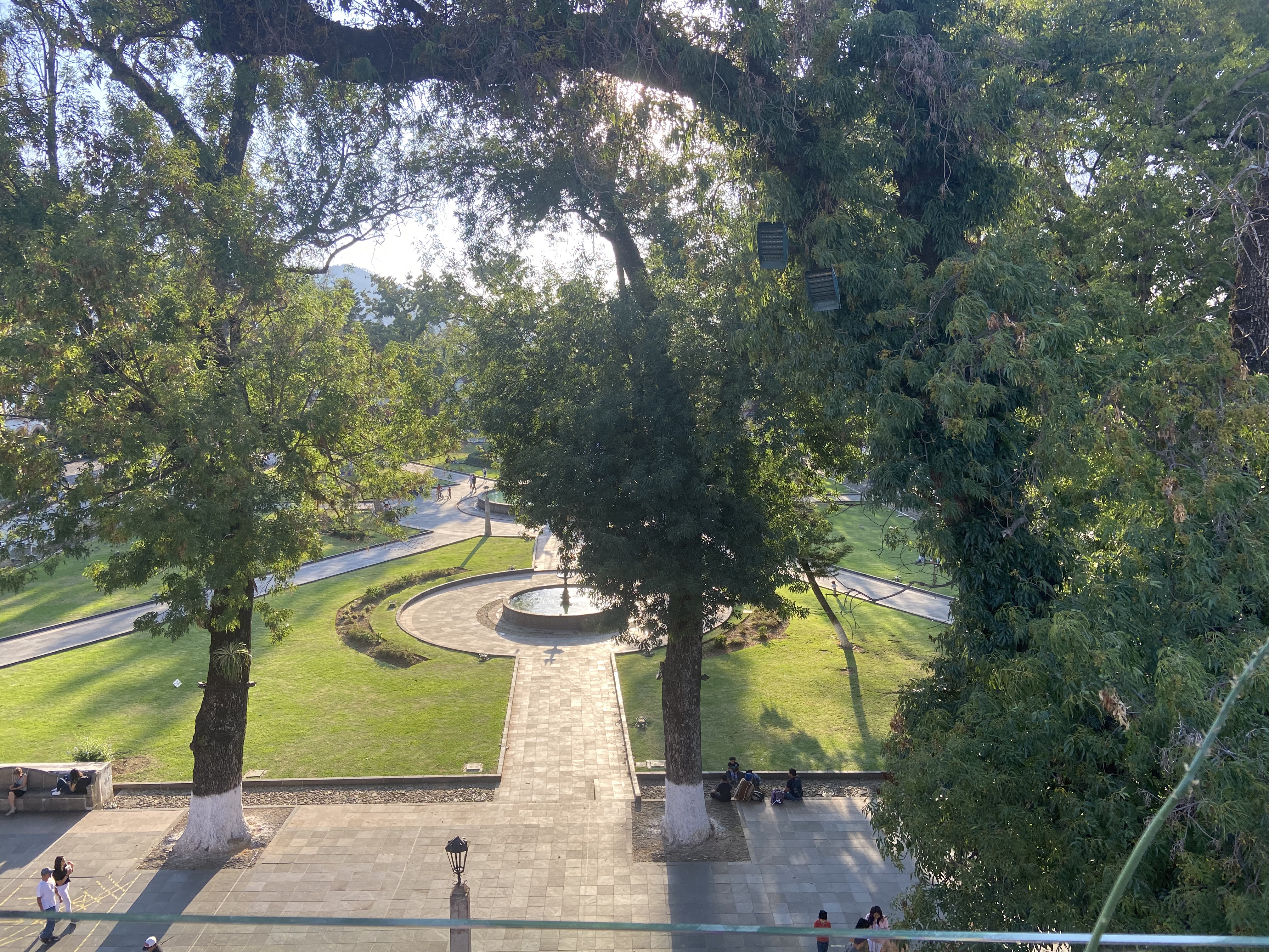 La Terraza de Antonia image 2