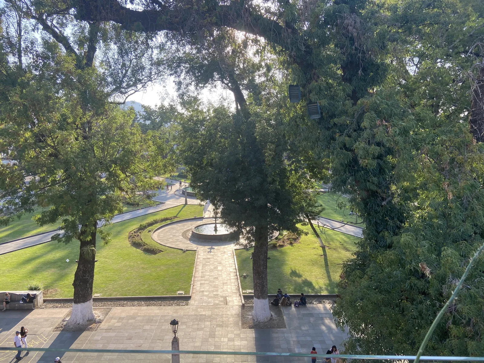 La Terraza de Antonia image 2