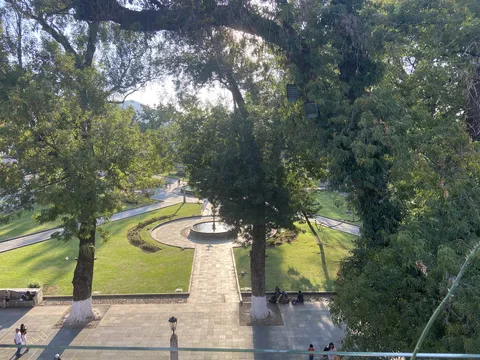 La Terraza de Antonia image 2