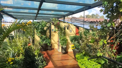 La Terraza de Antonia image 6
