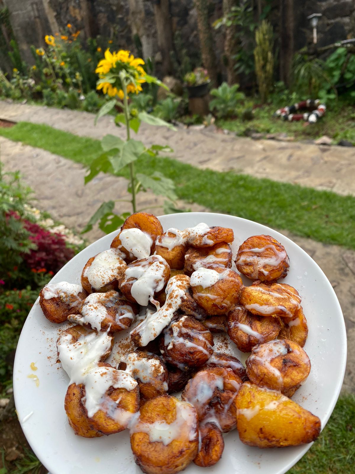 Casa de los abuelos image 1