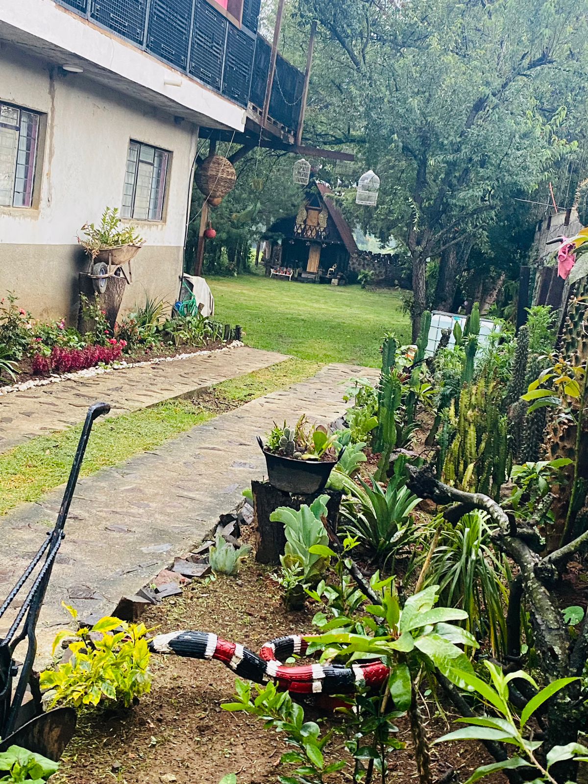 Casa de los abuelos image 2