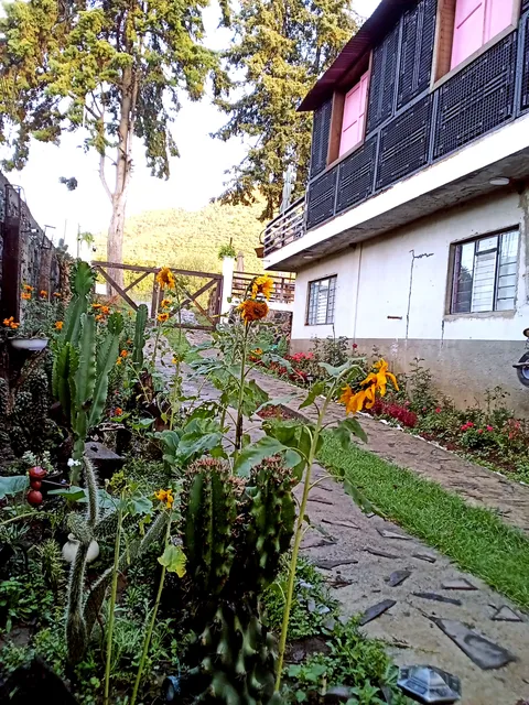 Casa de los abuelos image 3