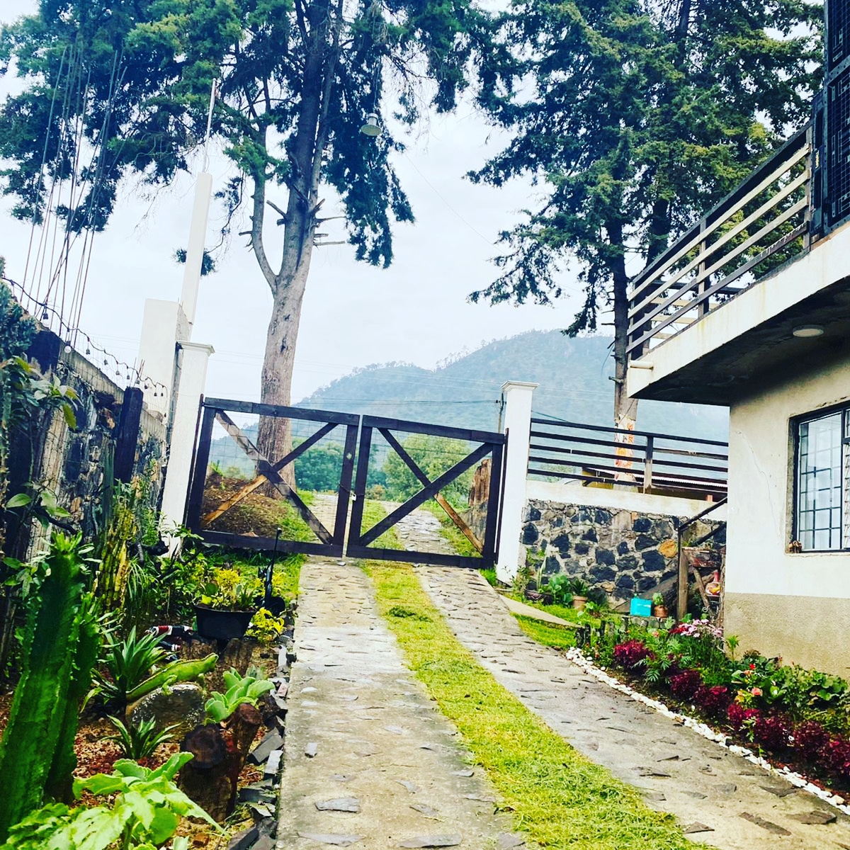 Casa de los abuelos image 4