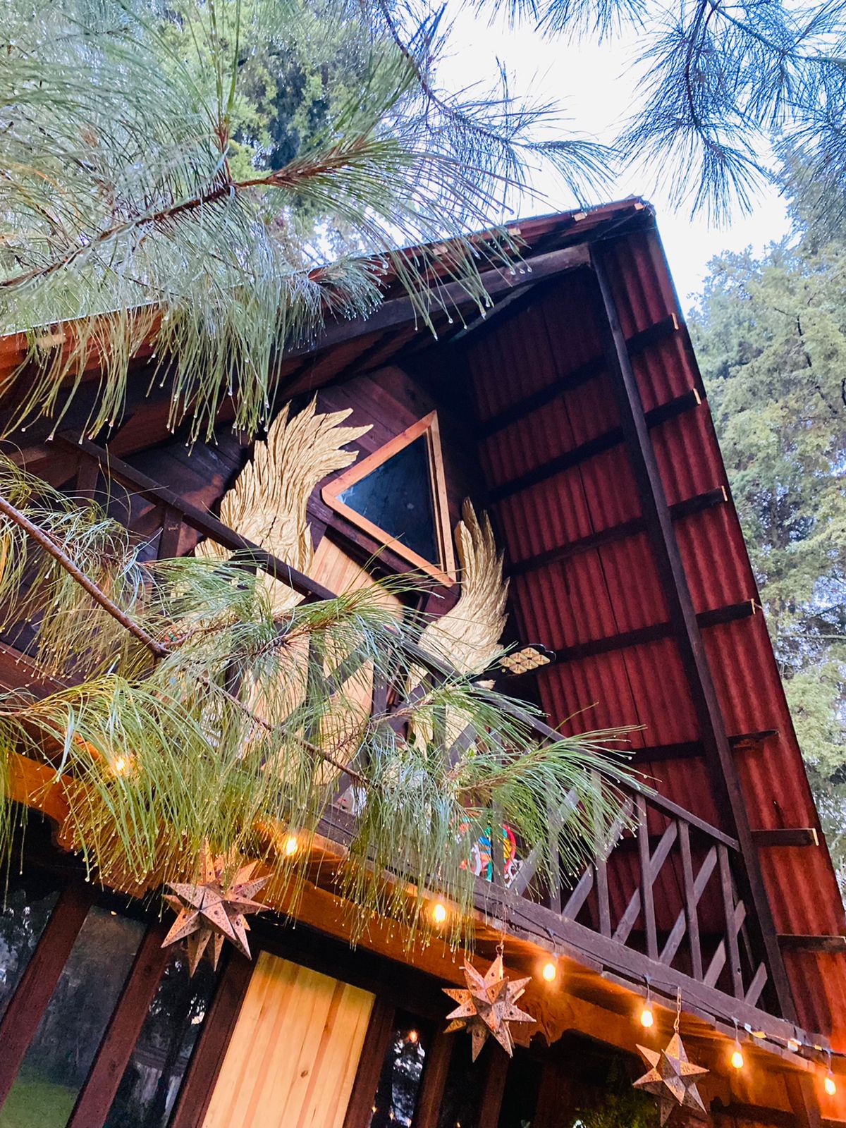 Casa de los abuelos image 6