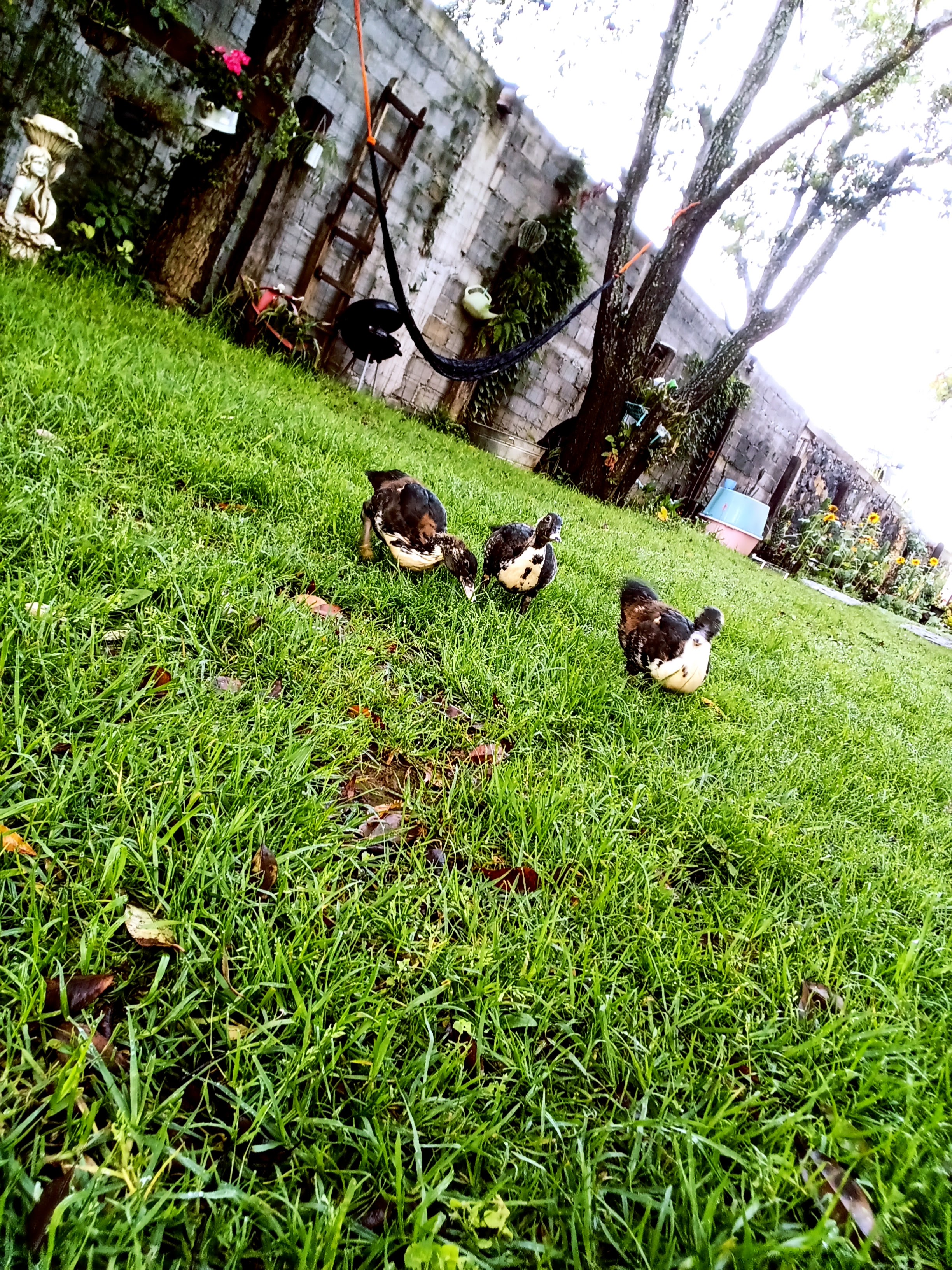 Casa de los abuelos image 9