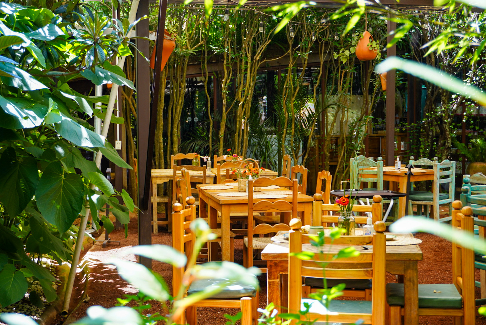 Tiendita Verde image 1