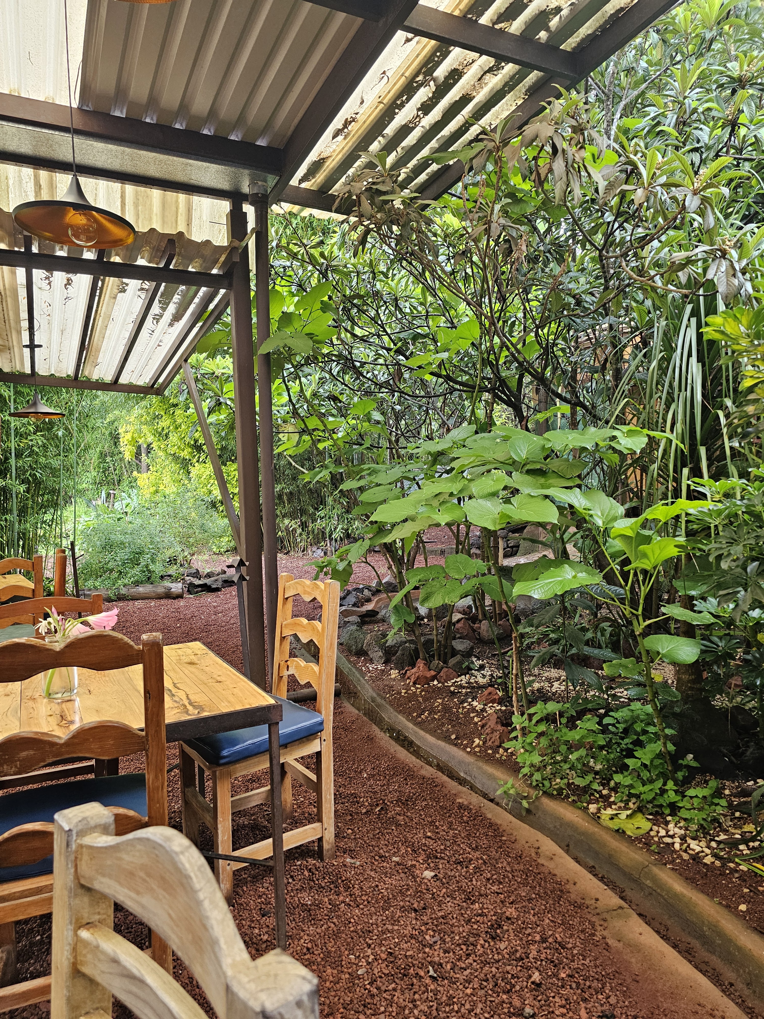 Tiendita Verde image 6