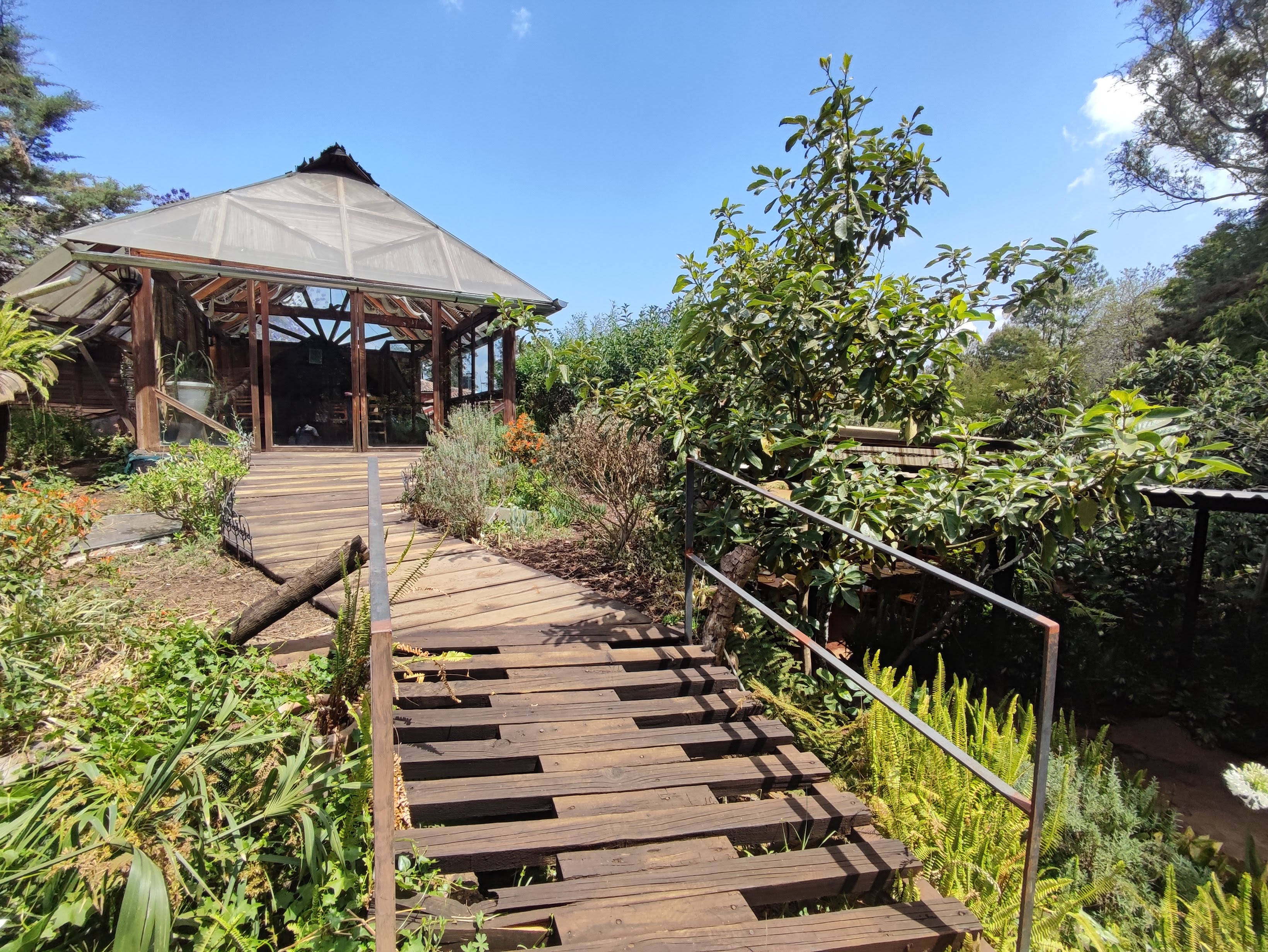 Tiendita Verde image 7