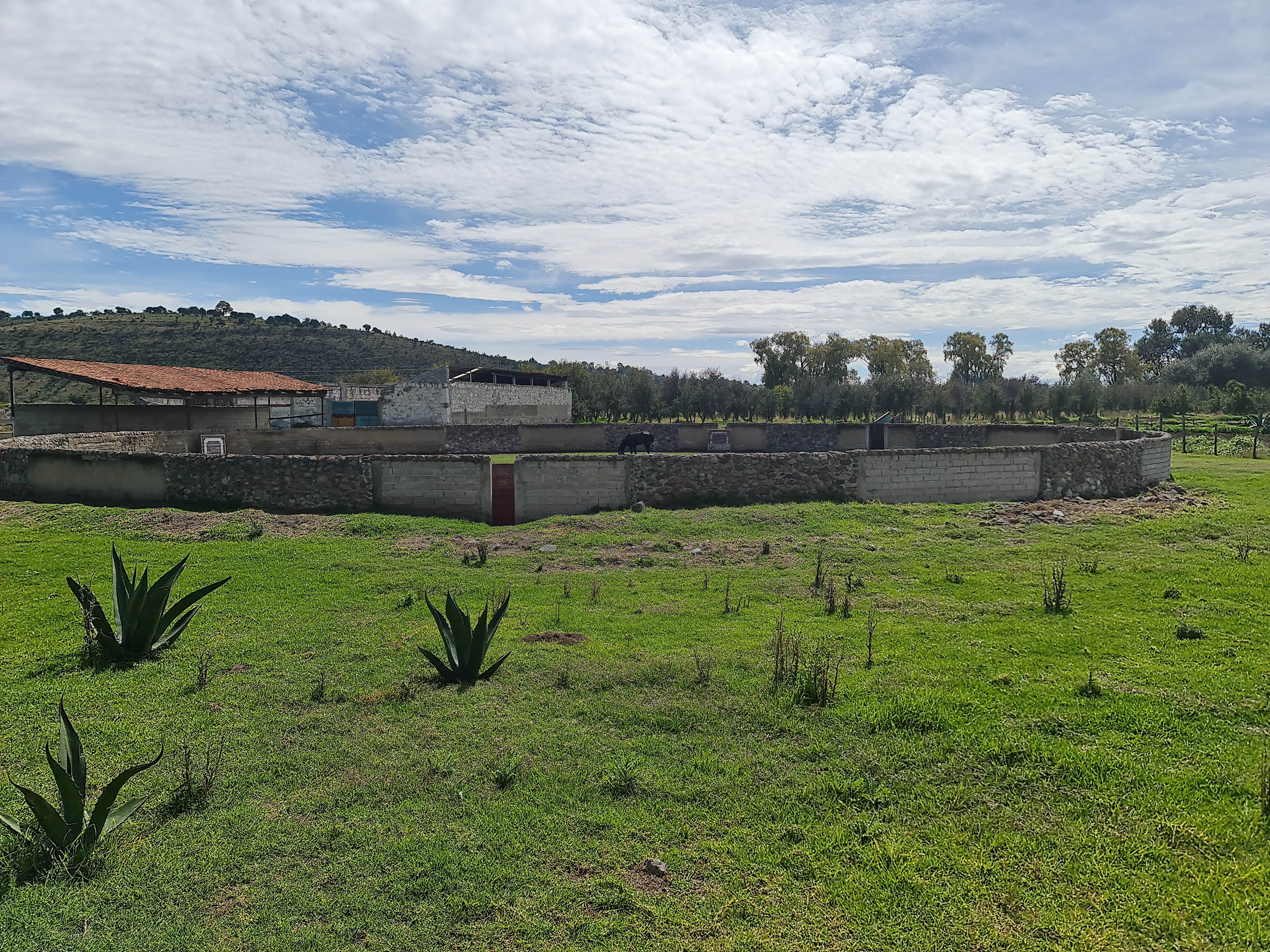 OYO Hacienda Tecoac image 7