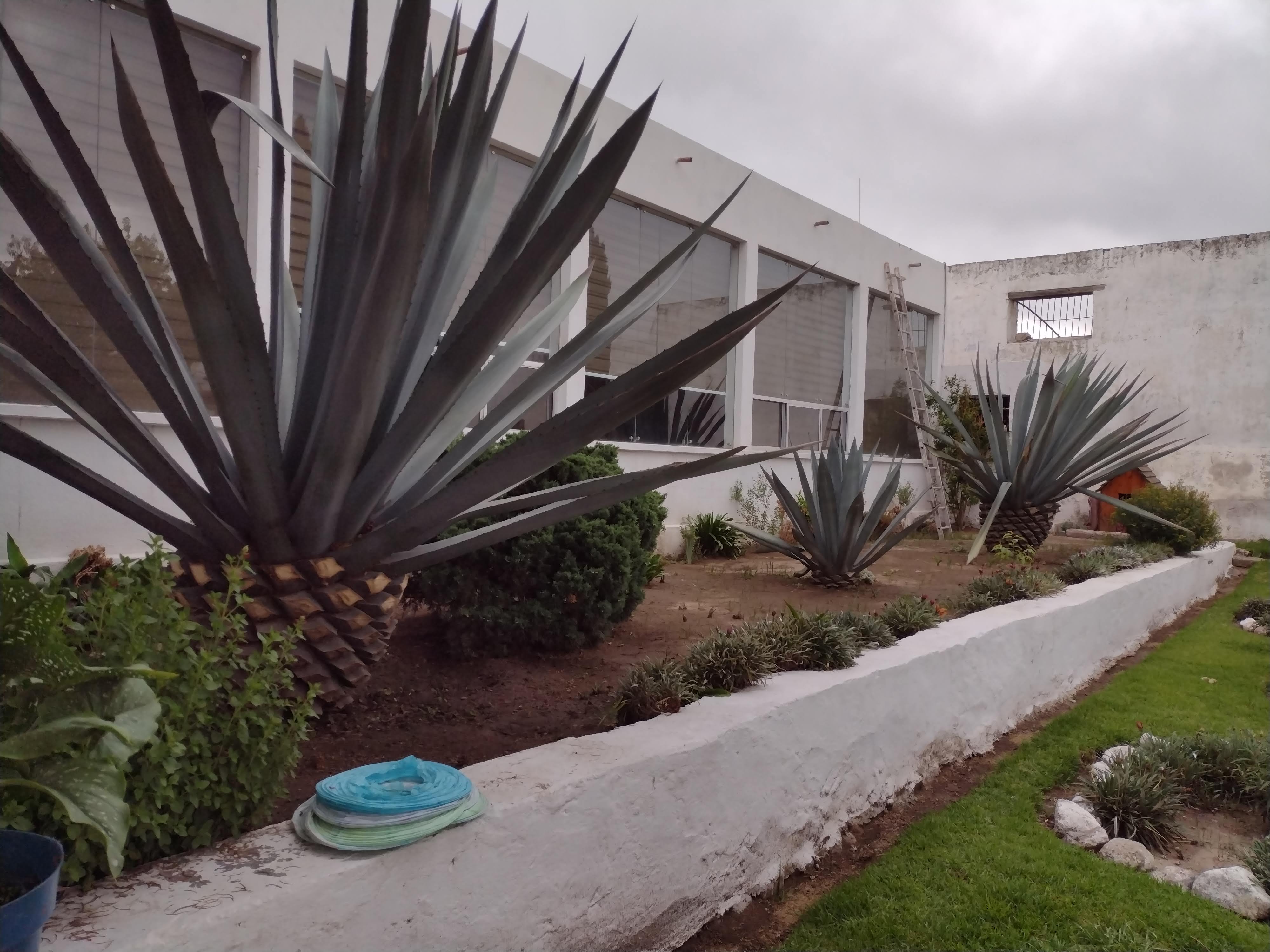 OYO Hacienda Tecoac image 8