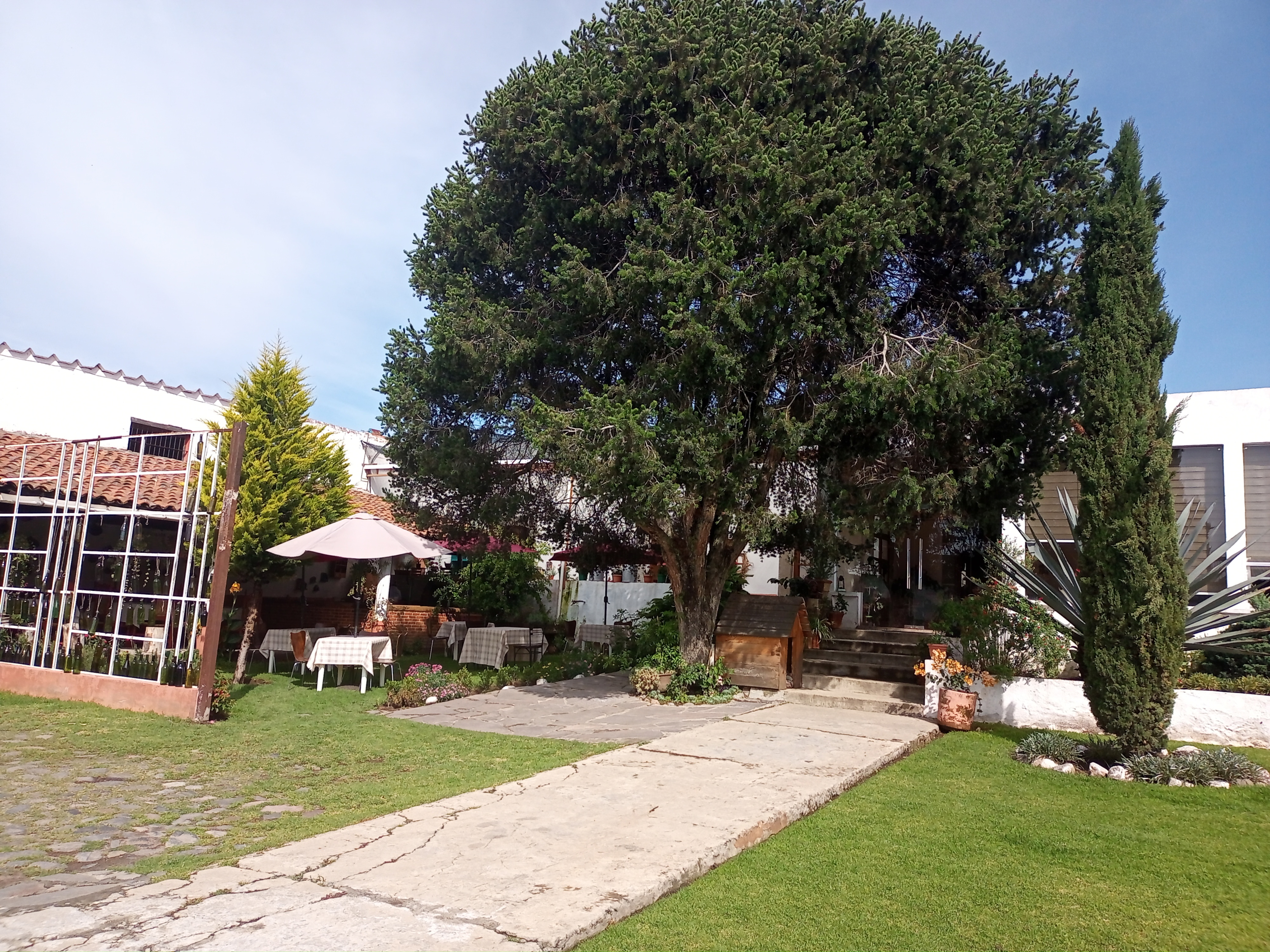 OYO Hacienda Tecoac image 9