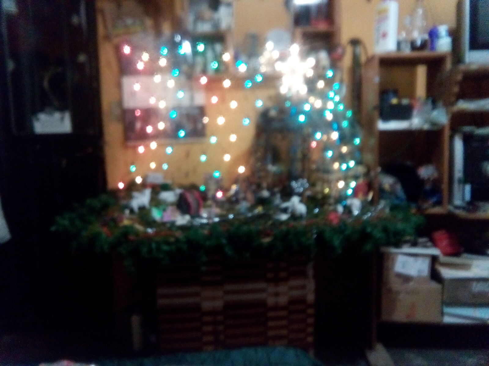 La Casita image 7