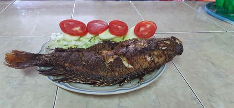 "LOS MOLCAJETES" image 1