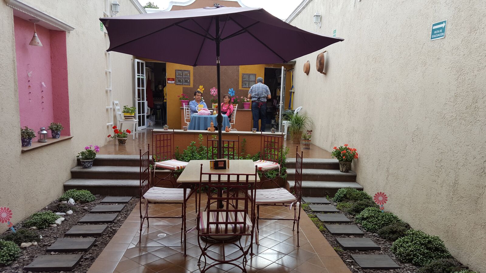 Mi Tierra image 8