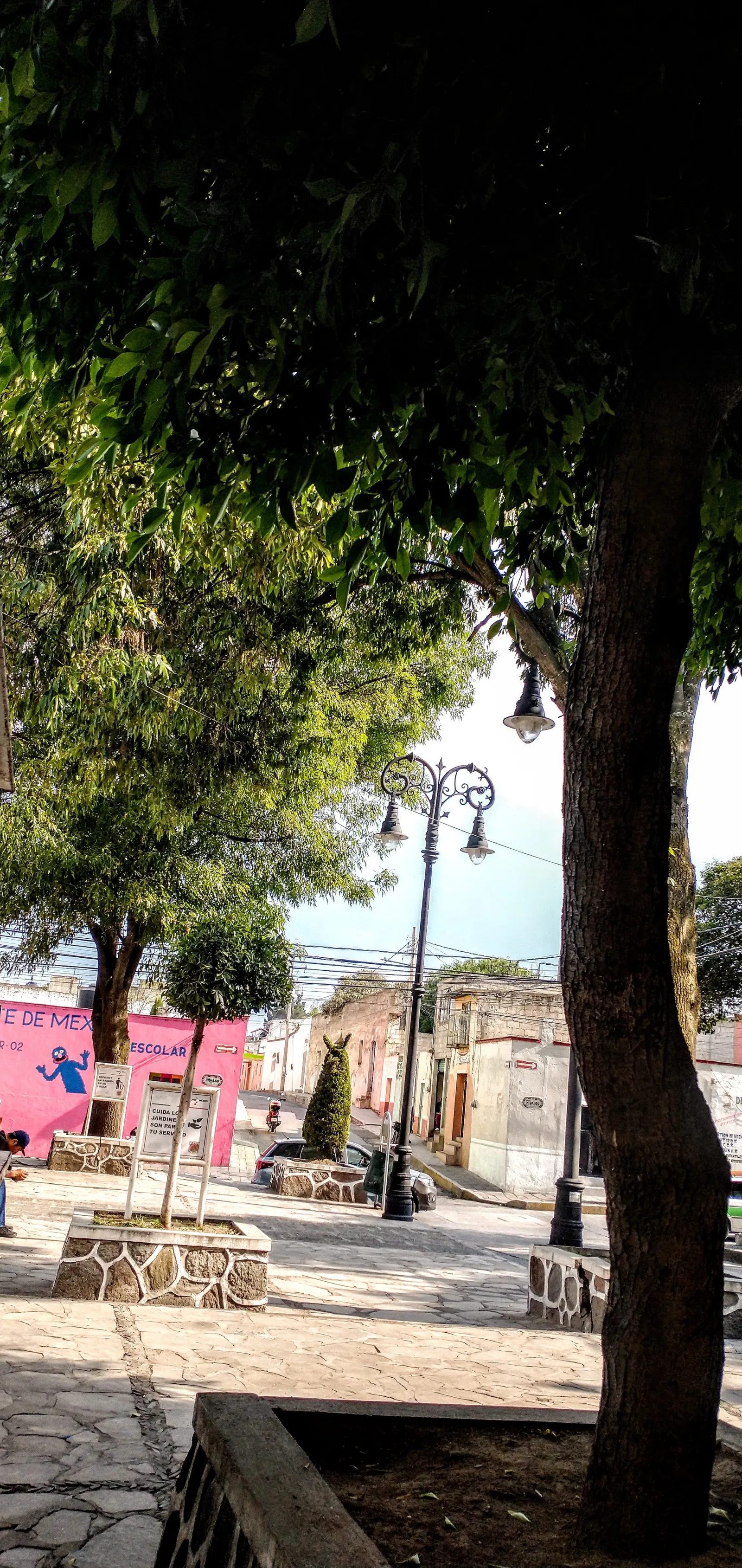La Plazuela image 4