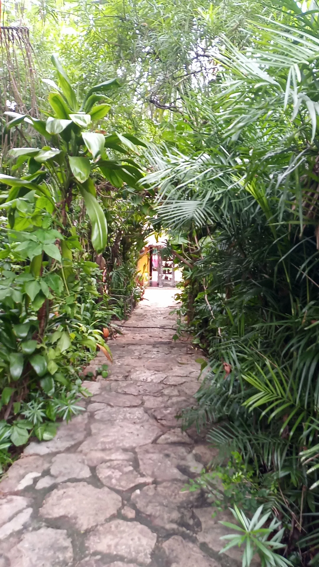 RESTAURANT "CHUN YAAX CHE" image 10