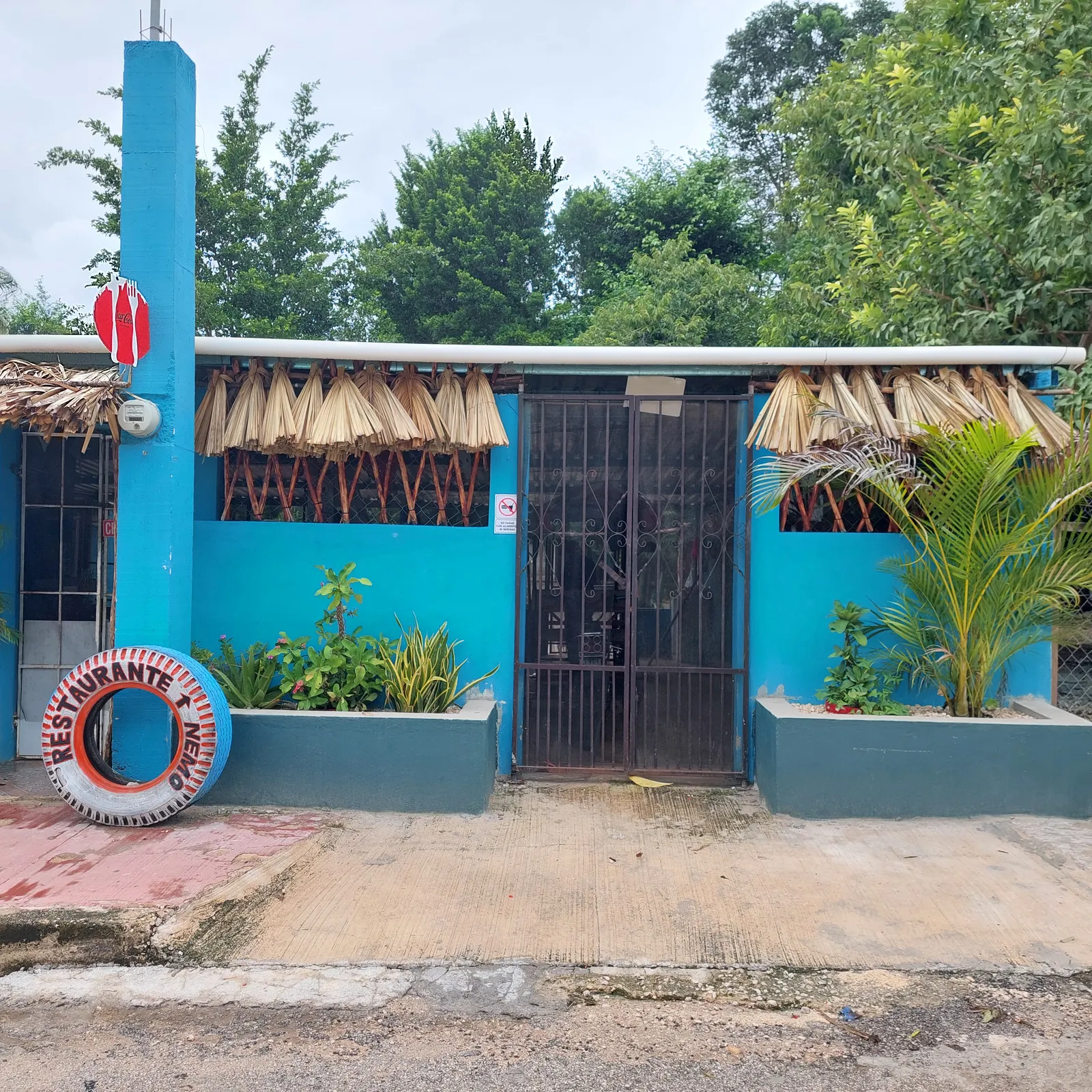 Restaurante NEMOH Kopomá image 1