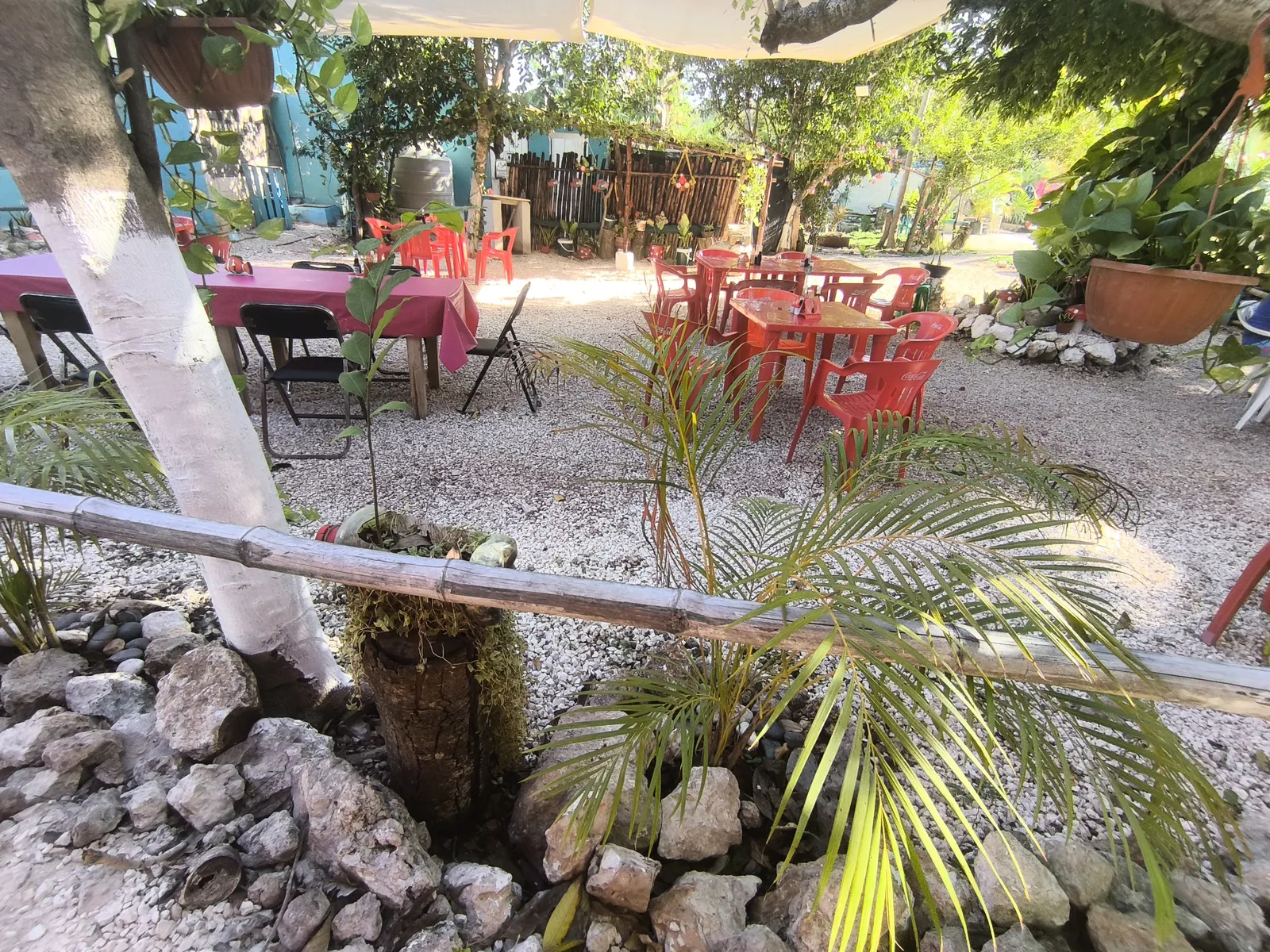 Restaurante NEMOH Kopomá image 3