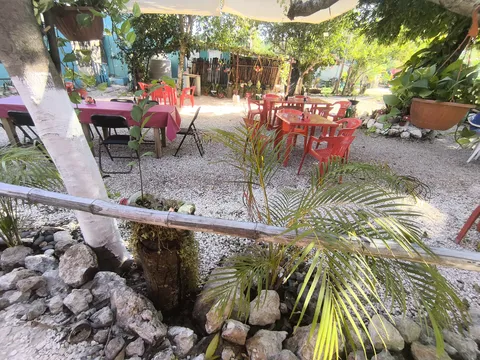 Restaurante NEMOH Kopomá image 3