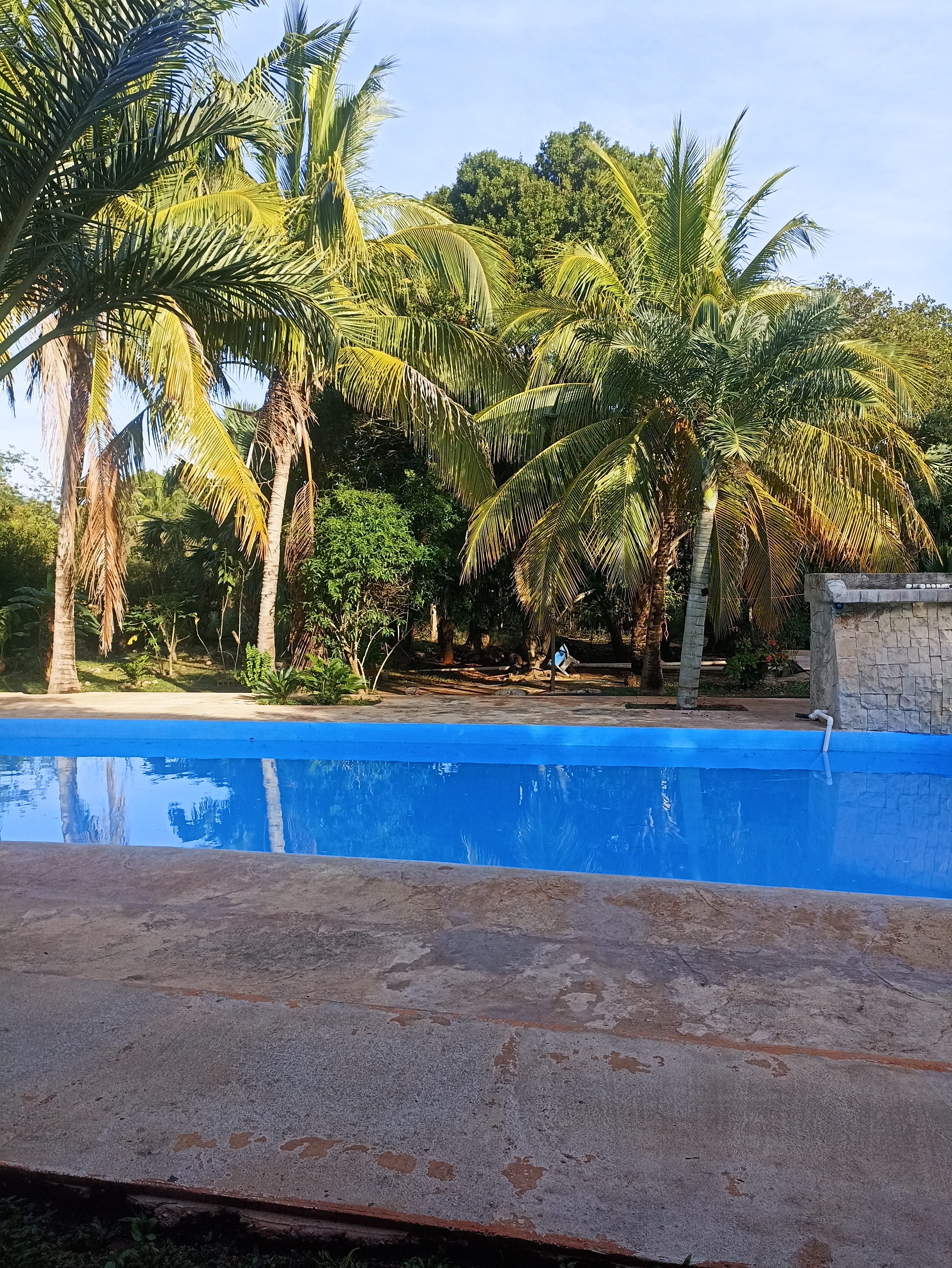 Las Rocas Restaurant image 3